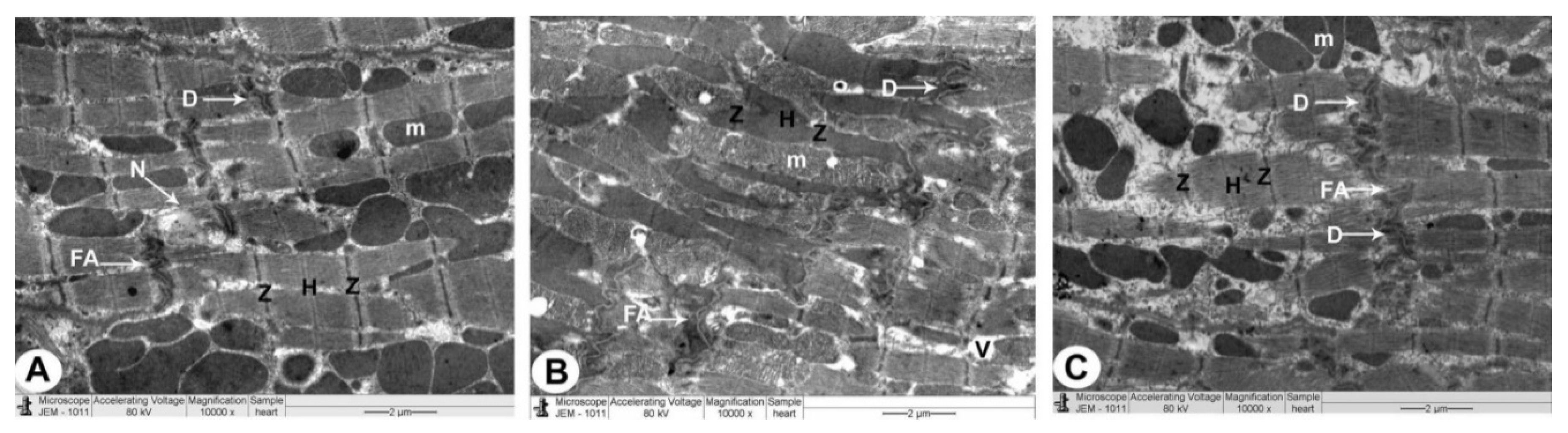Biomedicines 10 00039 g005 Biomedicines 10 00039 g005