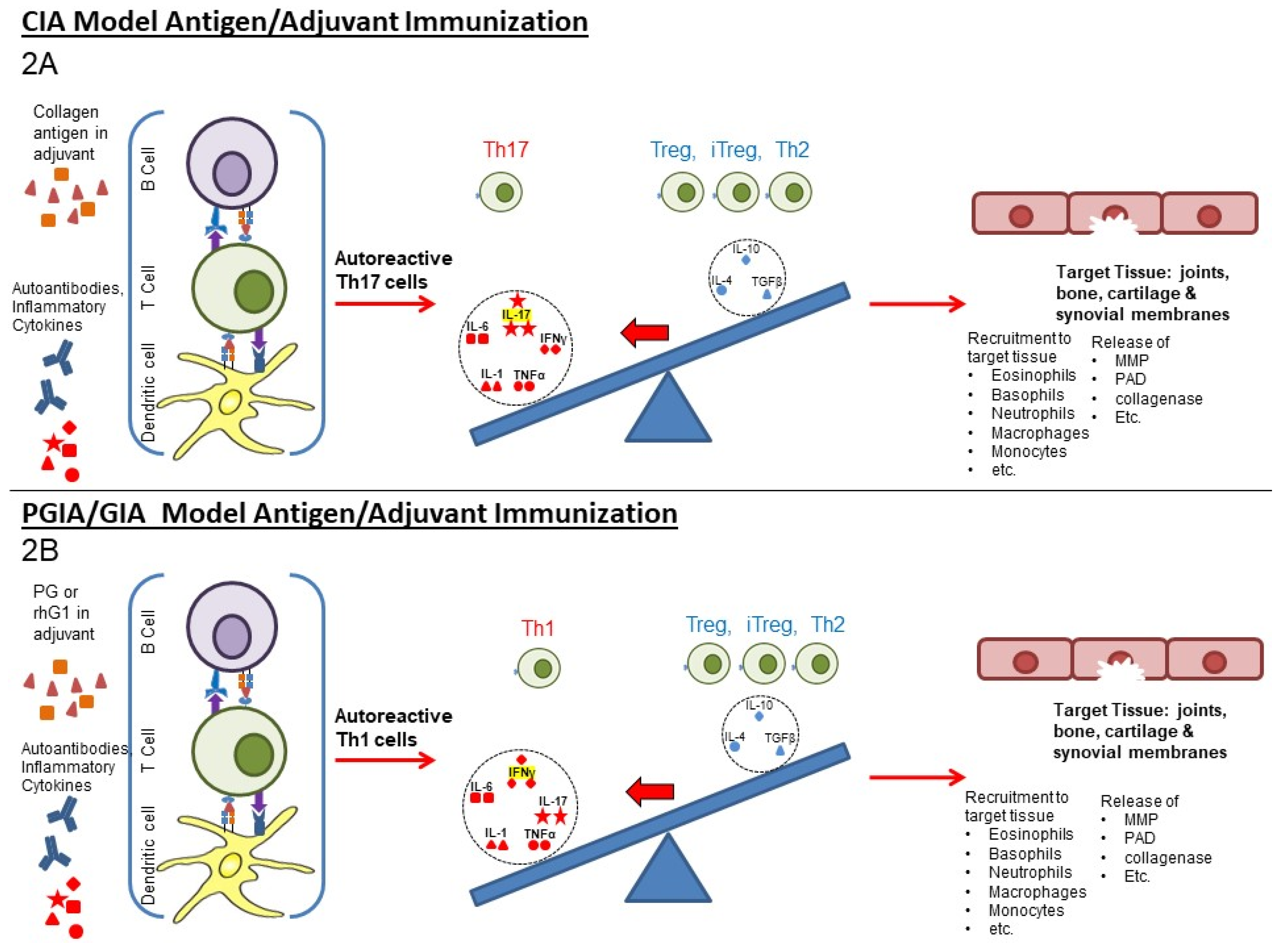 Biomedicines 10 00044 g002 550