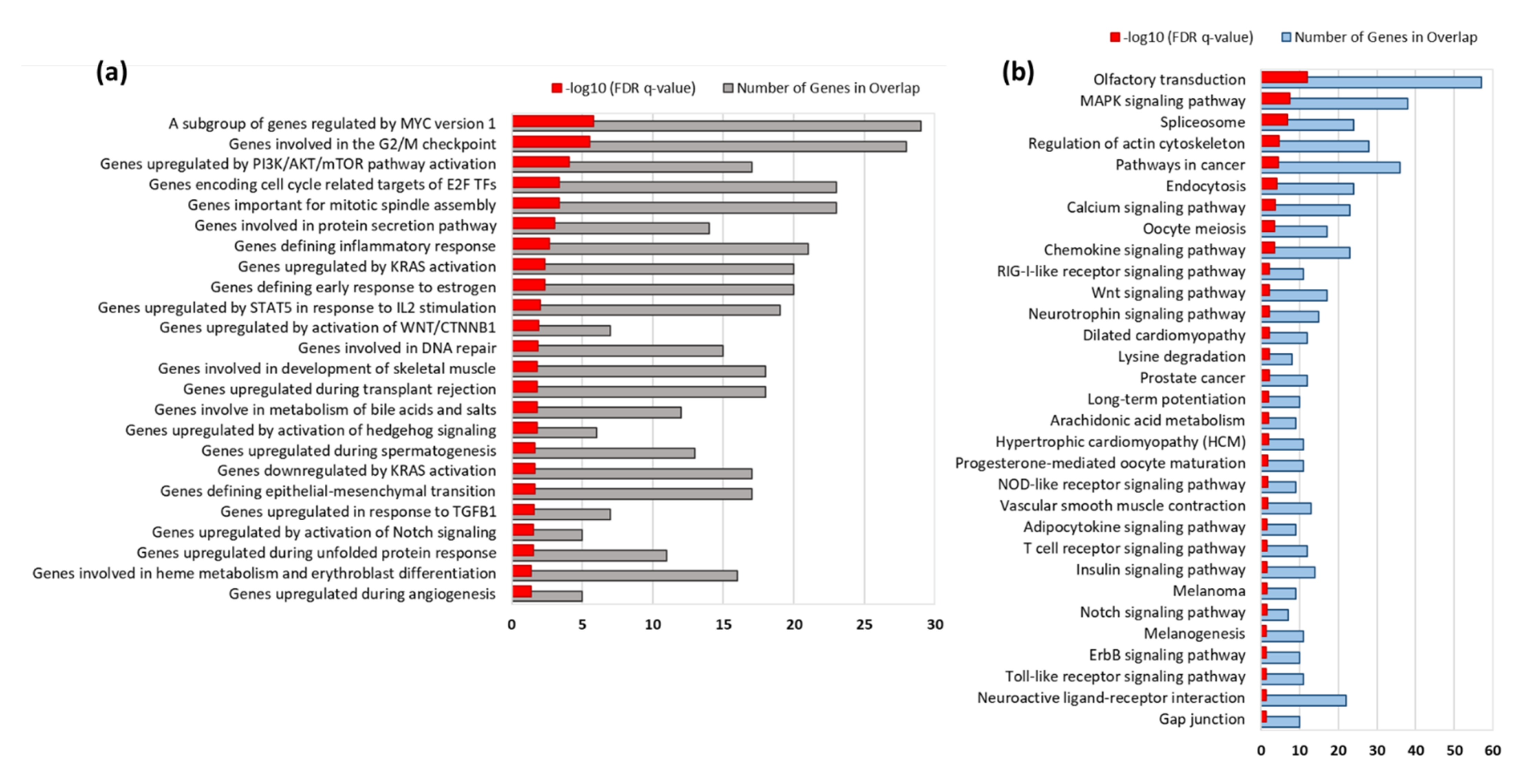 Biomedicines 10 00048 g002