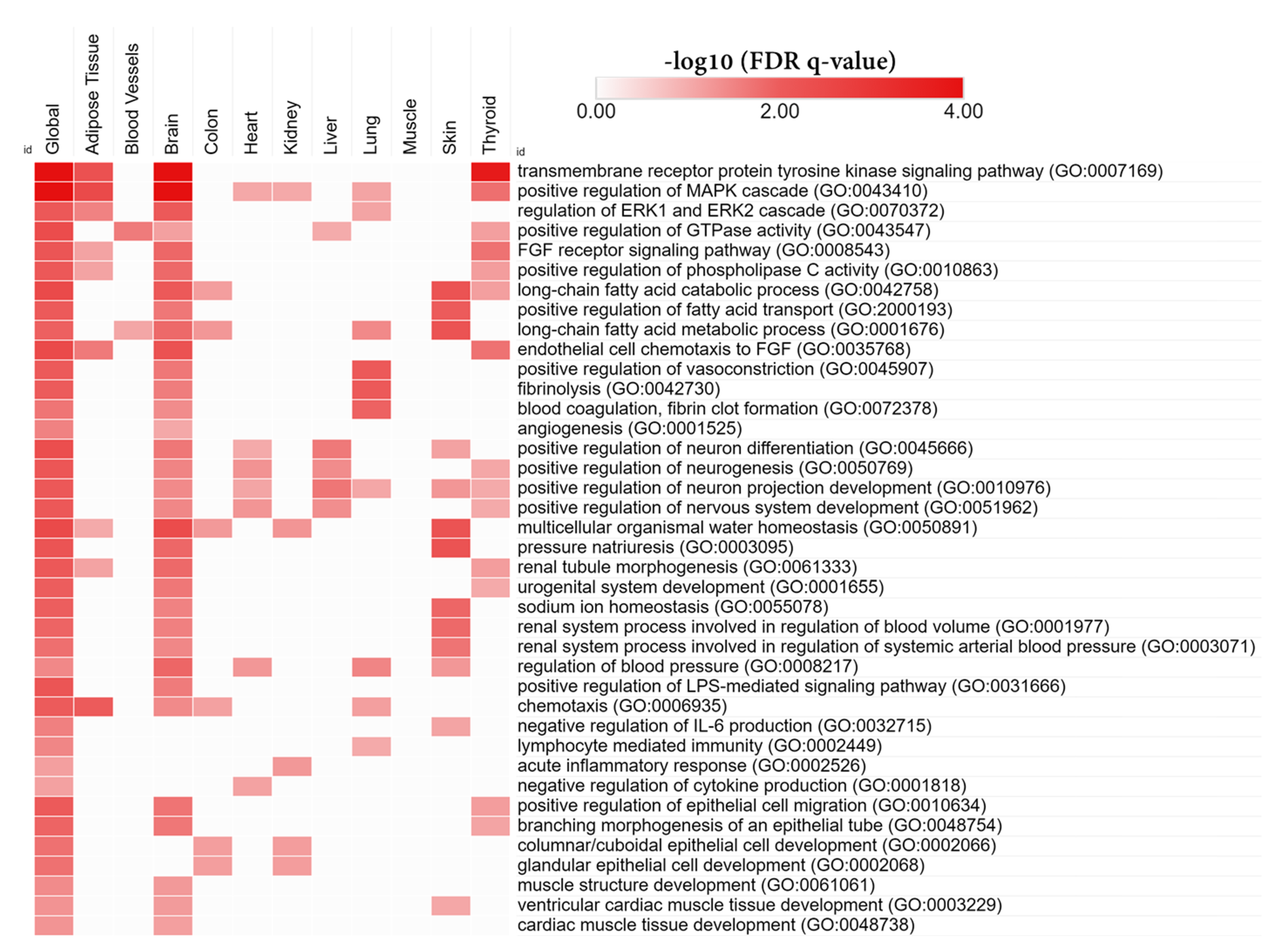 Biomedicines 10 00048 g004