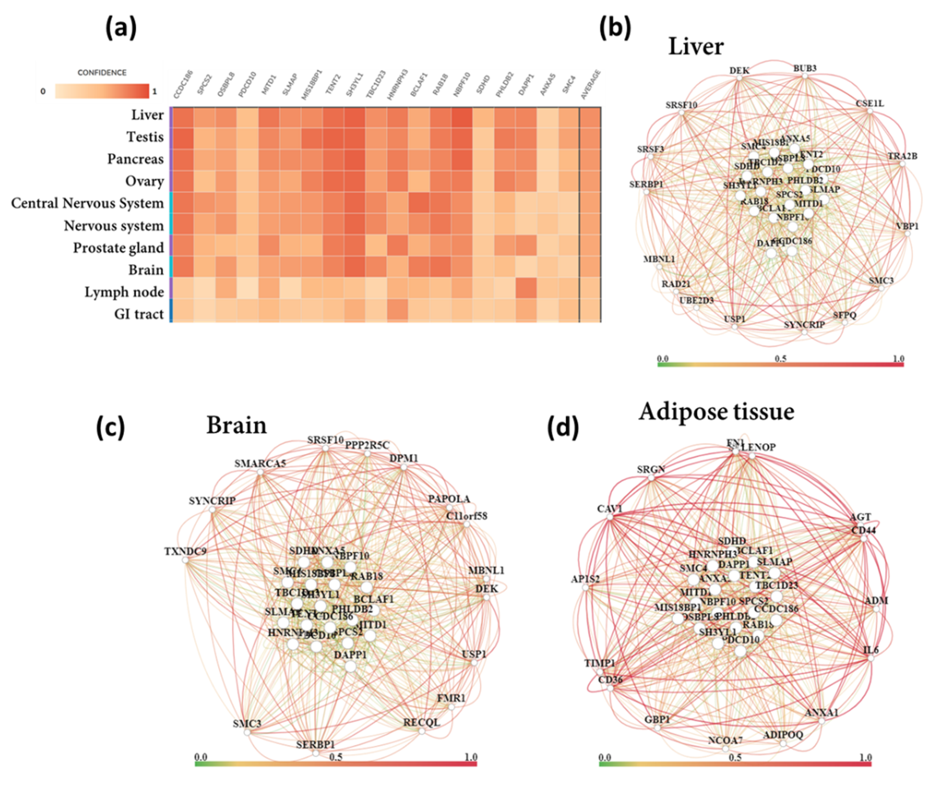 Biomedicines 10 00048 g007
