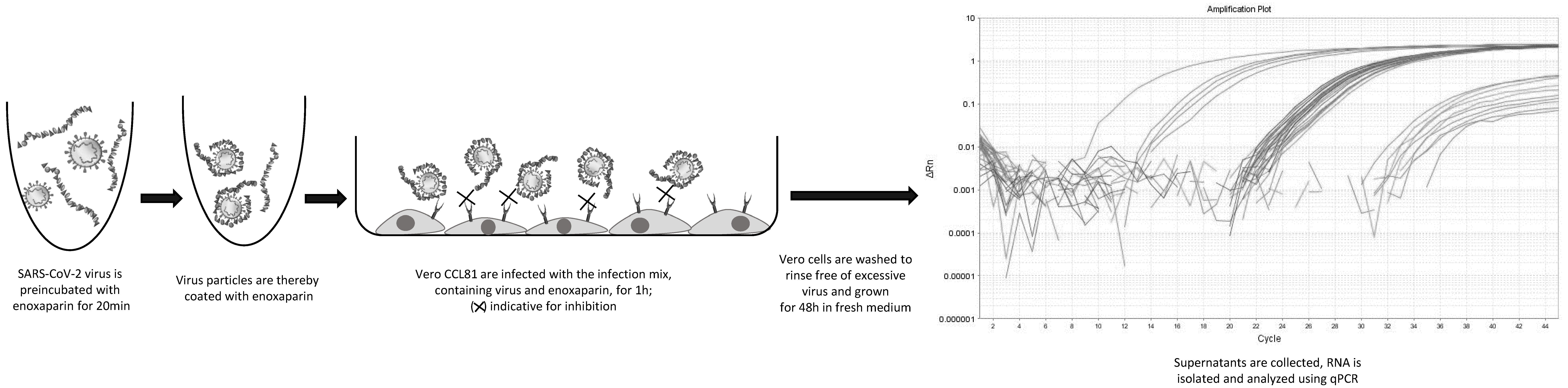 Biomedicines 10 00049 g002 550