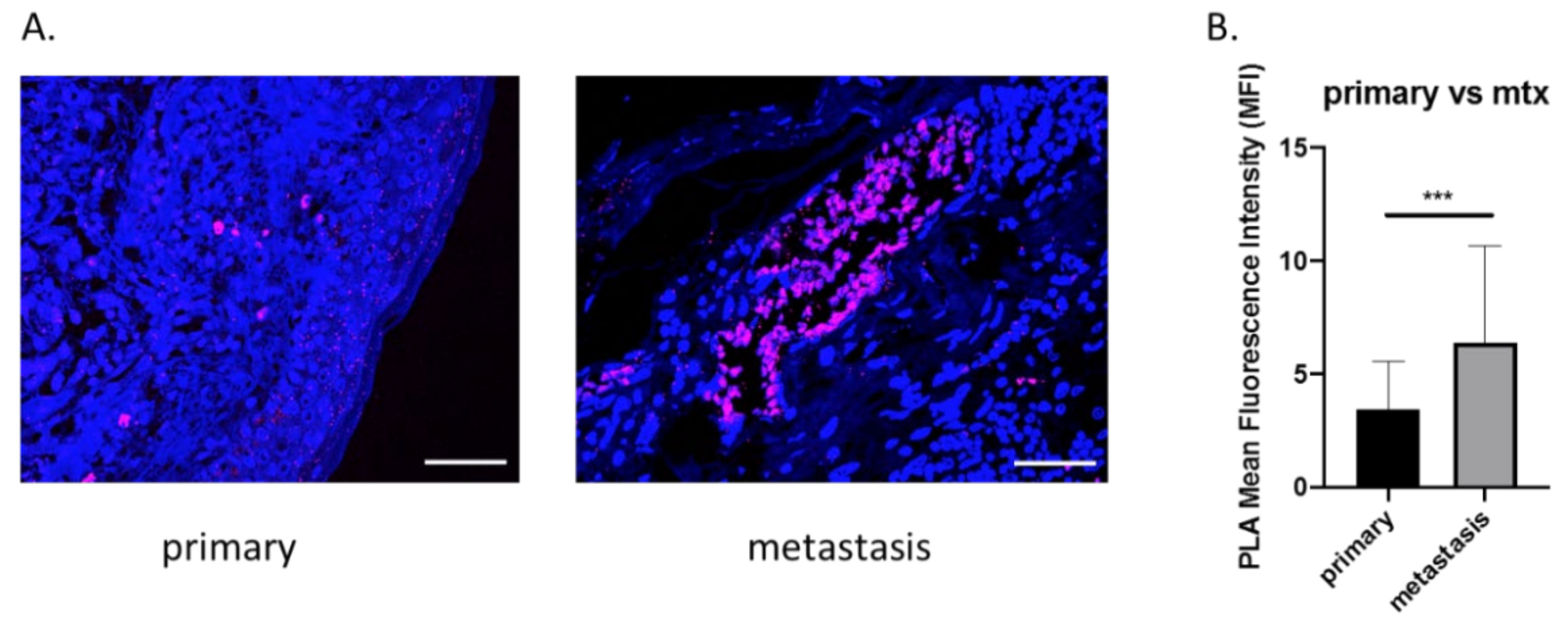 Biomedicines 10 00051 g001