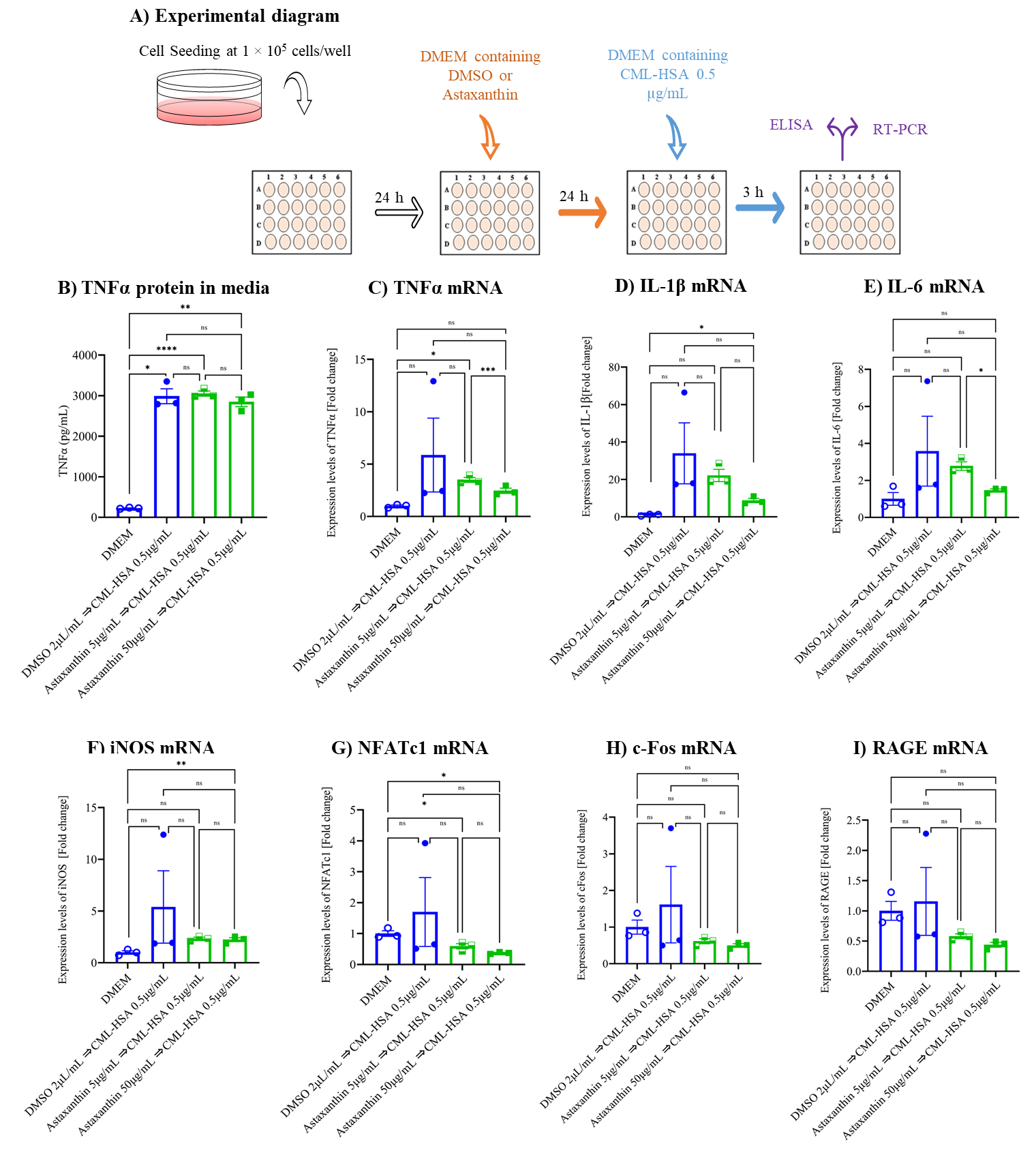 Biomedicines 10 00054 g002 550