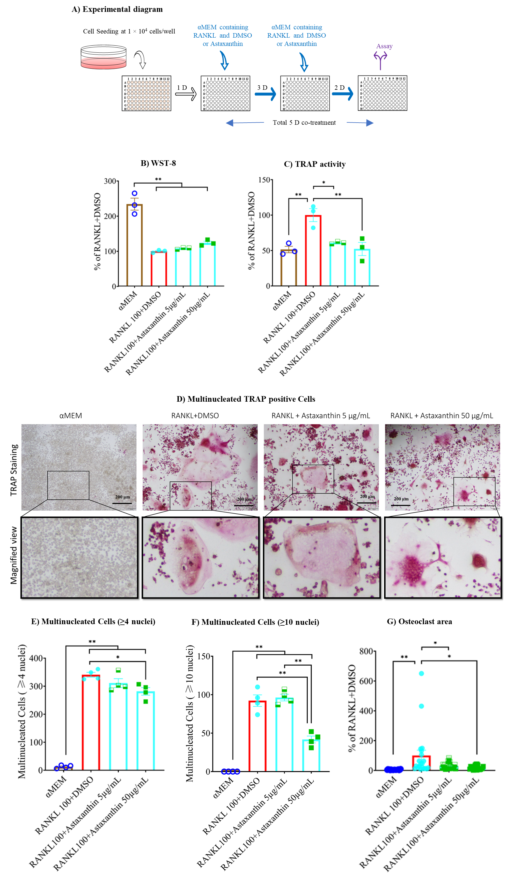 Biomedicines 10 00054 g004 550