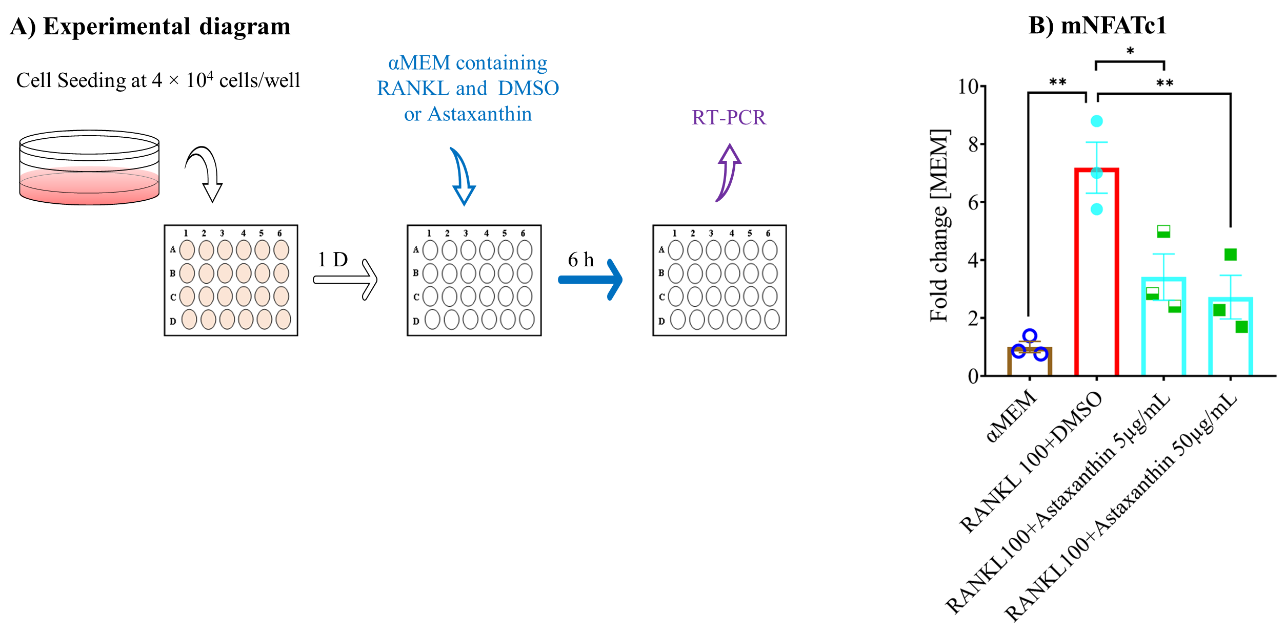 Biomedicines 10 00054 g007 550