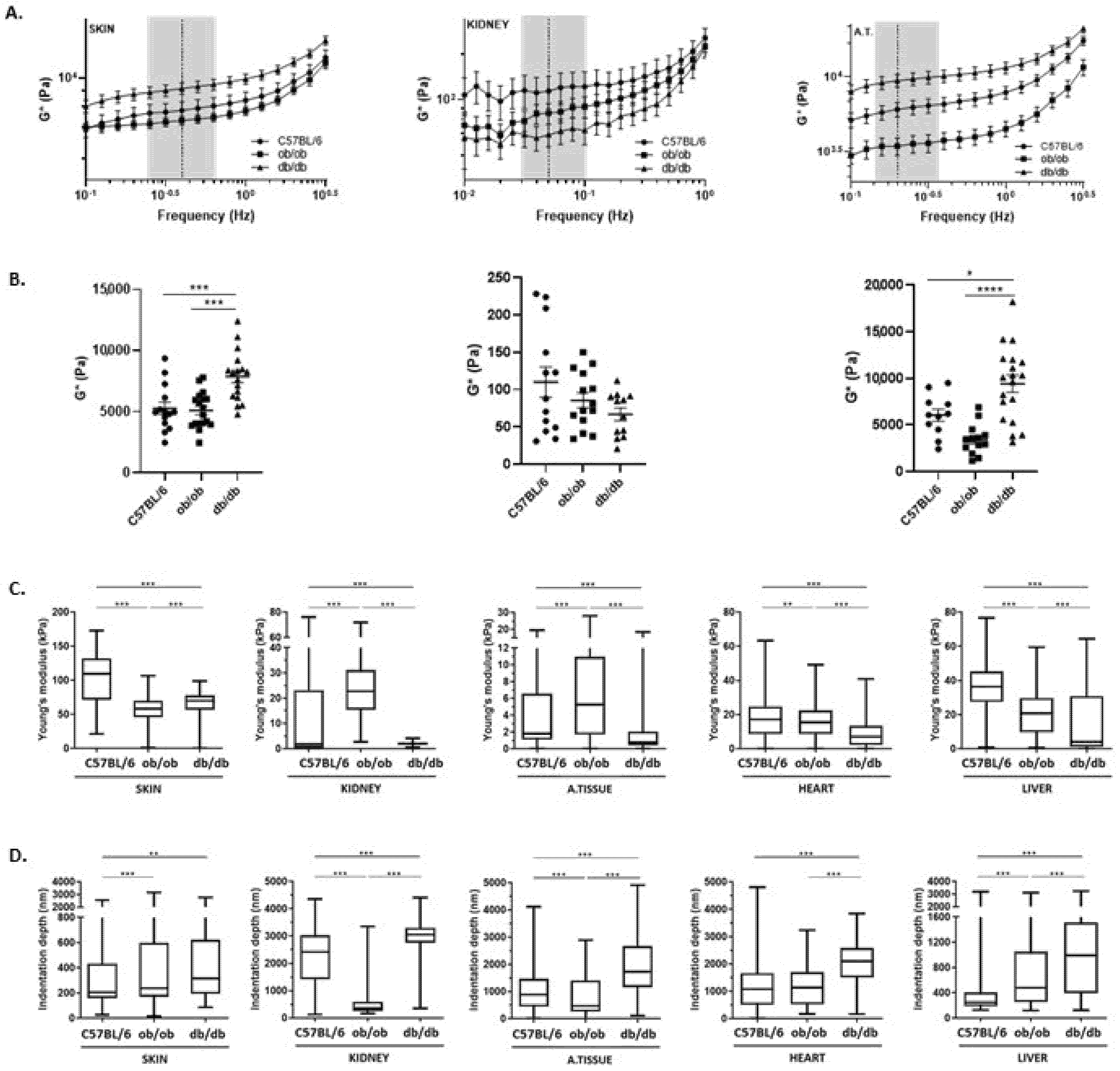 Biomedicines 10 00057 g008