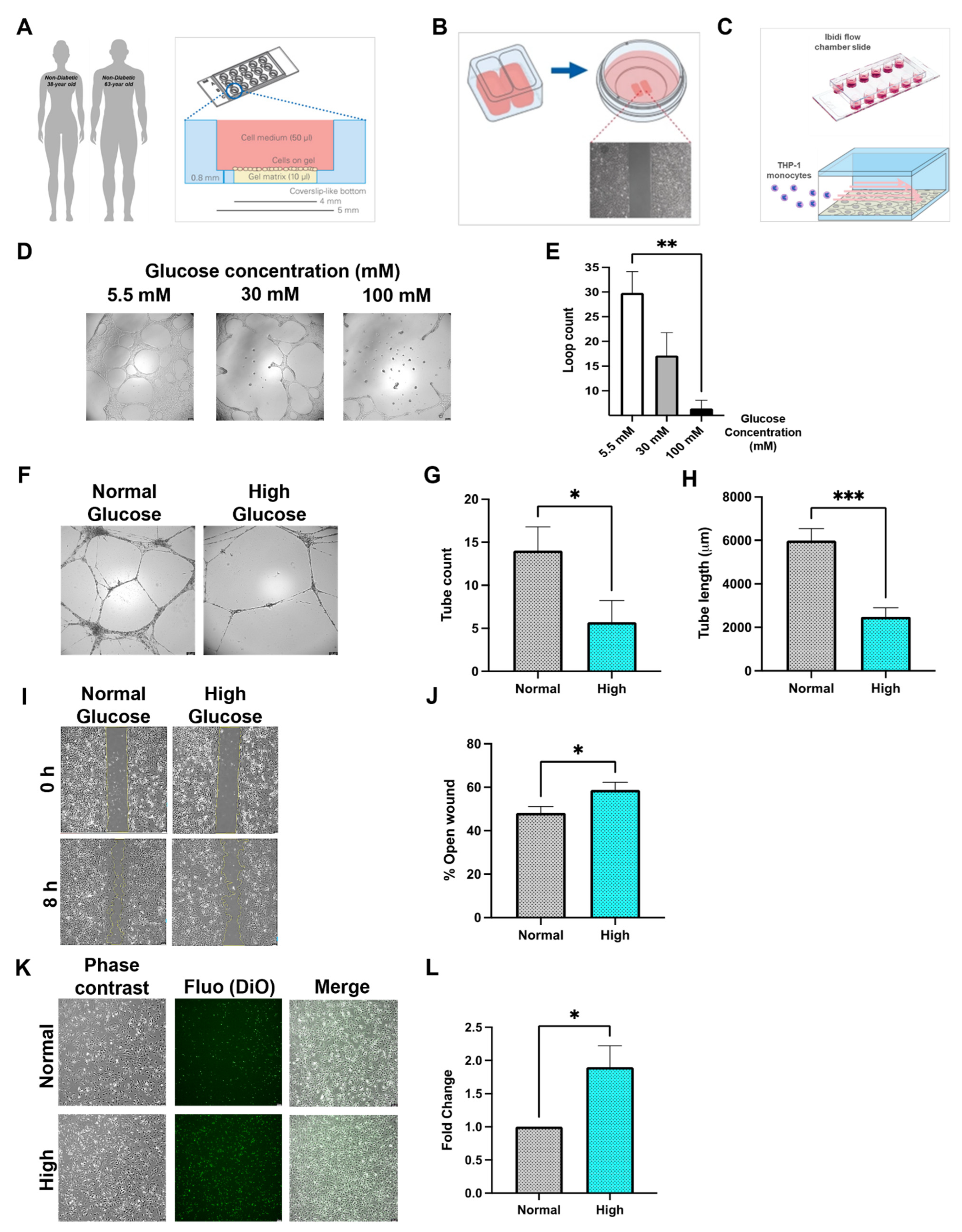 Biomedicines 10 00058 g001