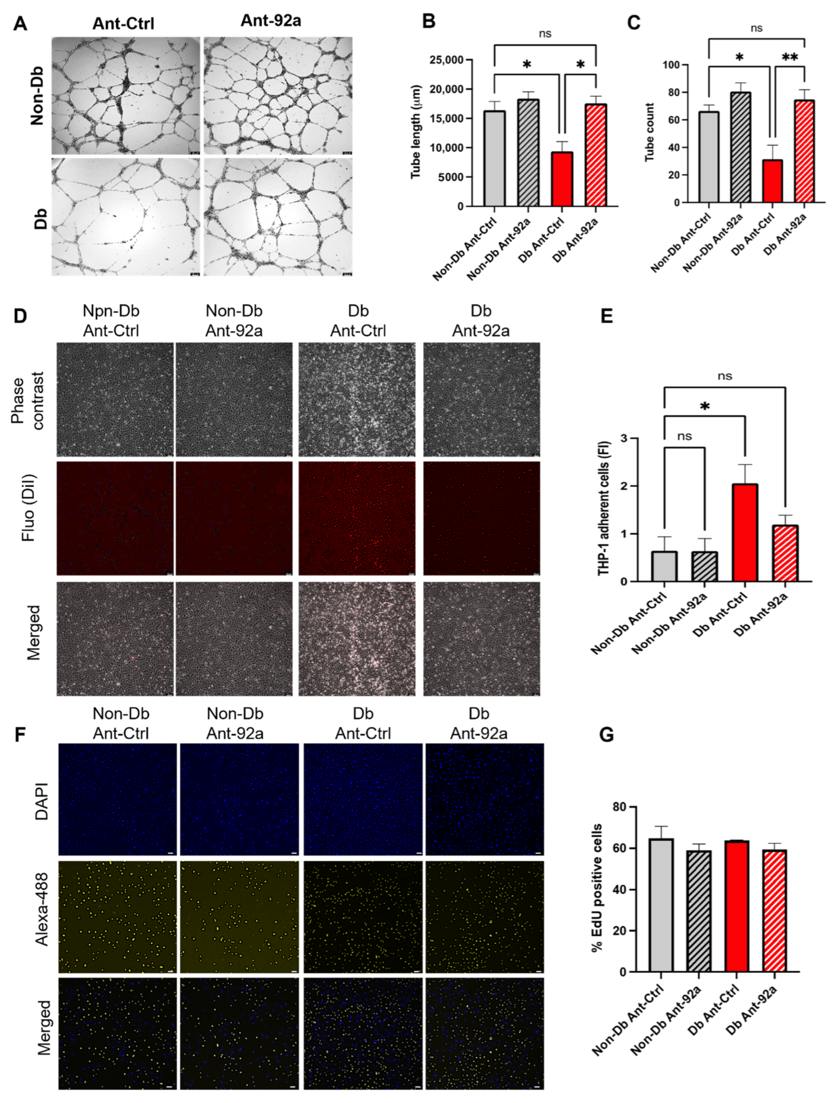 Biomedicines 10 00058 g003