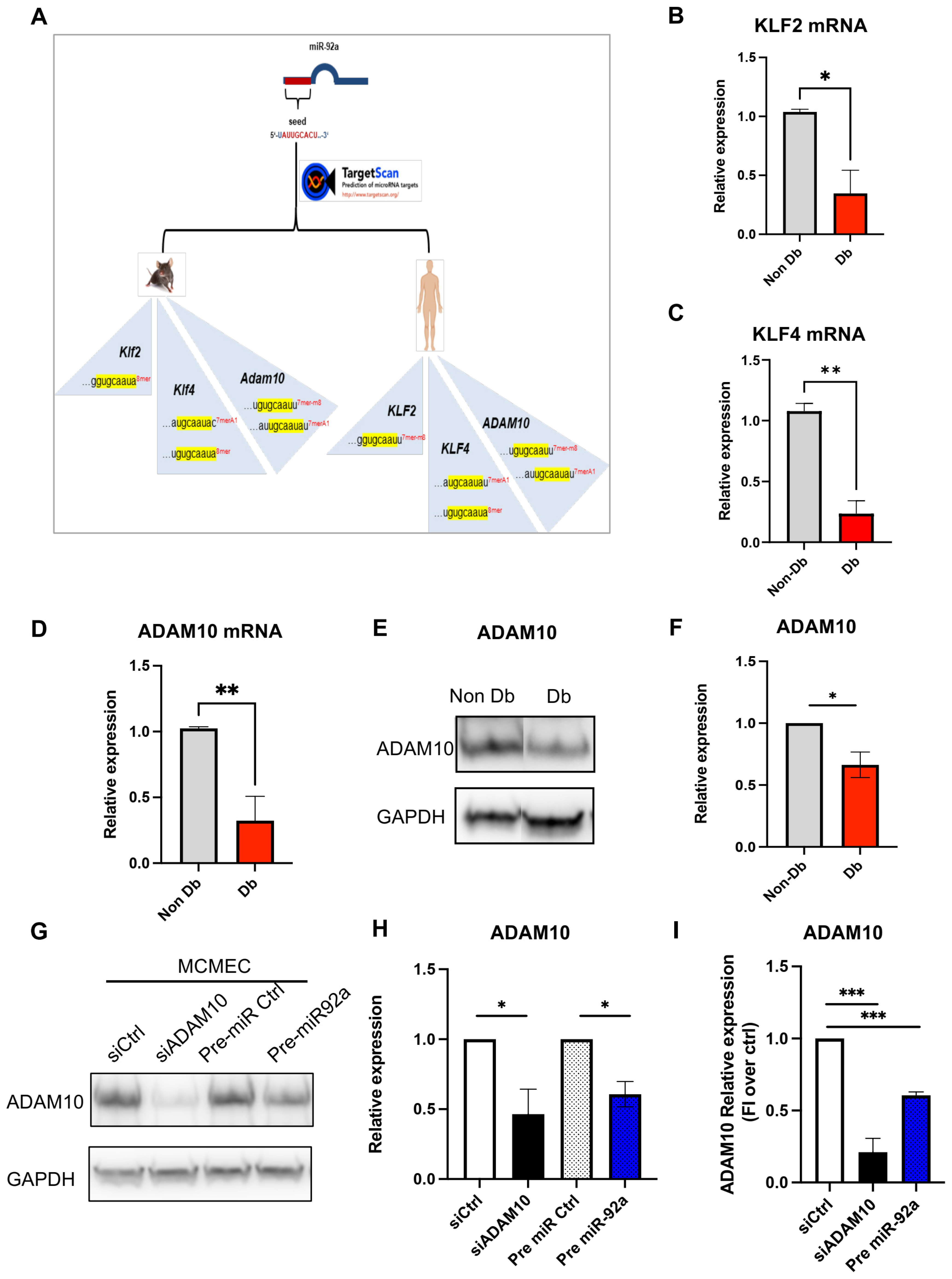 Biomedicines 10 00058 g004