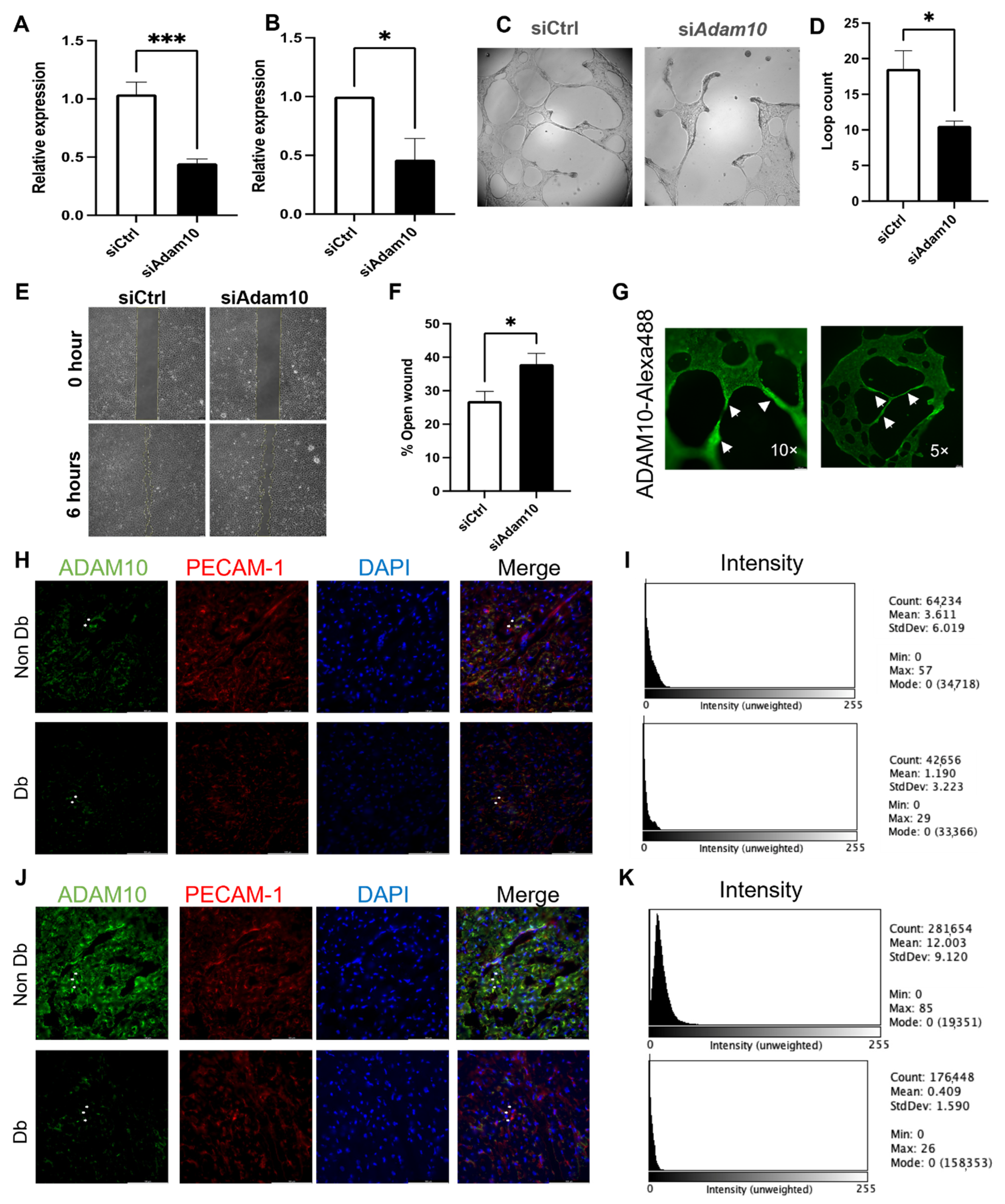 Biomedicines 10 00058 g005