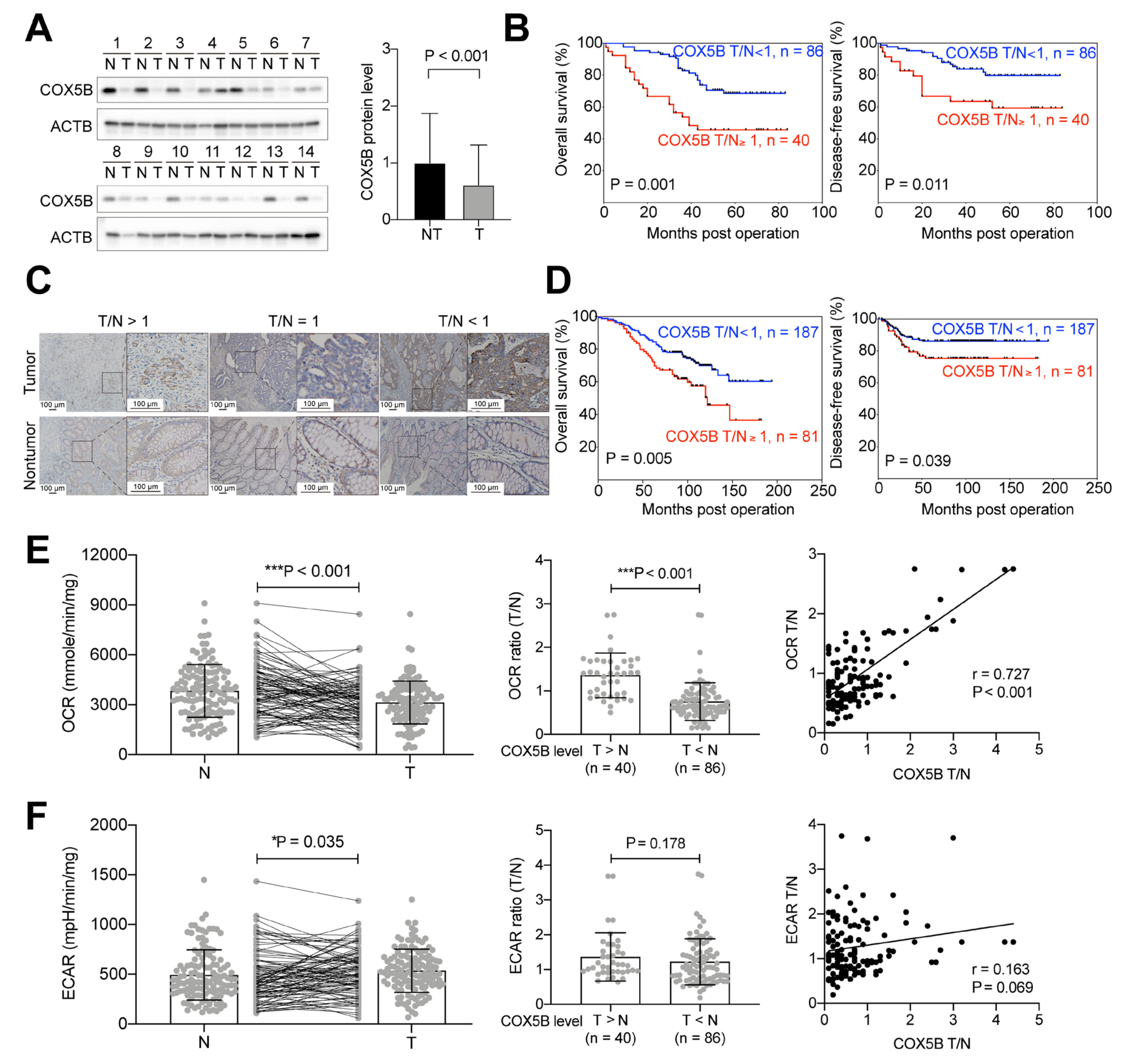 Biomedicines 10 00060 g001 Biomedicines 10 00060 g001