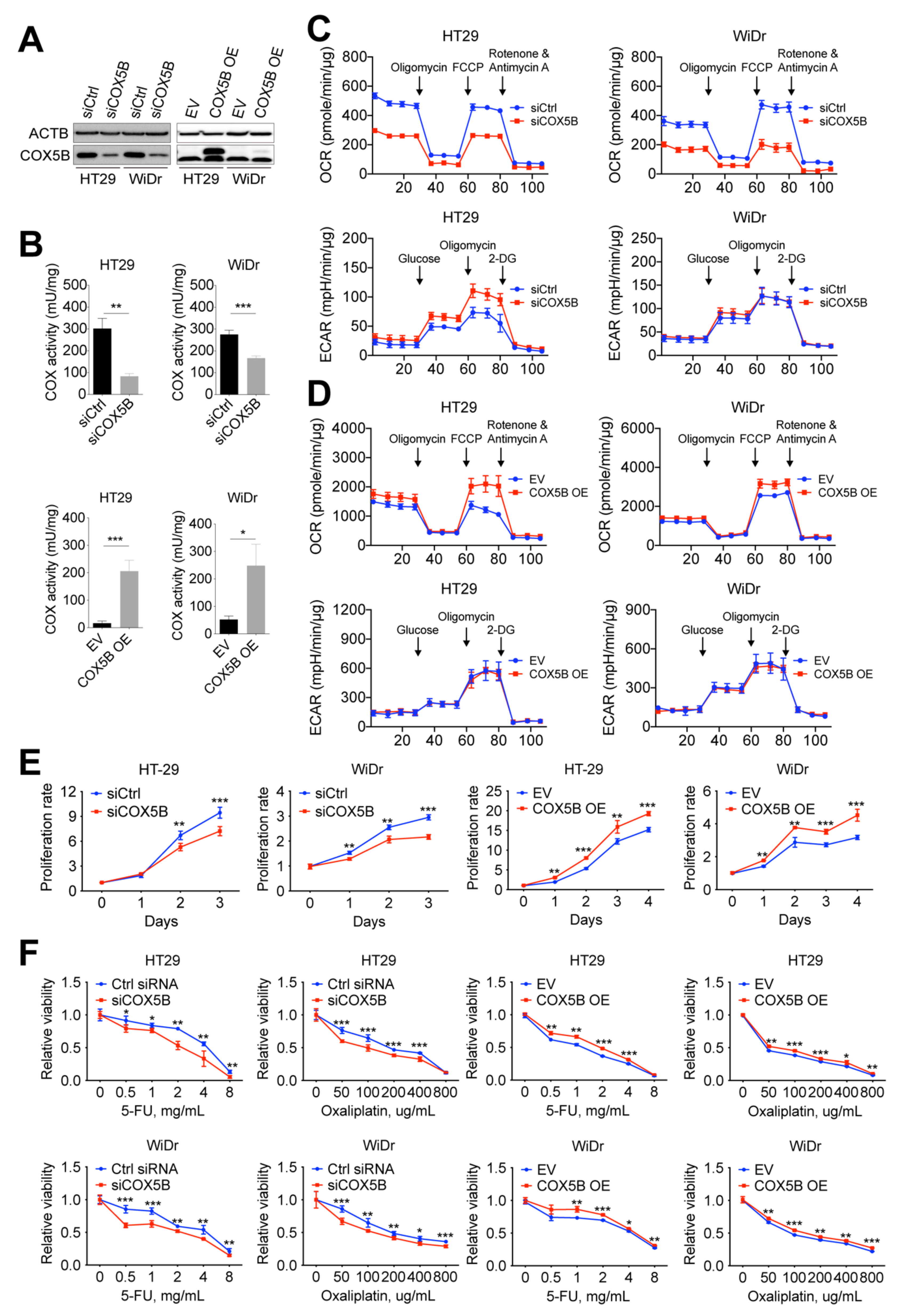 Biomedicines 10 00060 g003 Biomedicines 10 00060 g003