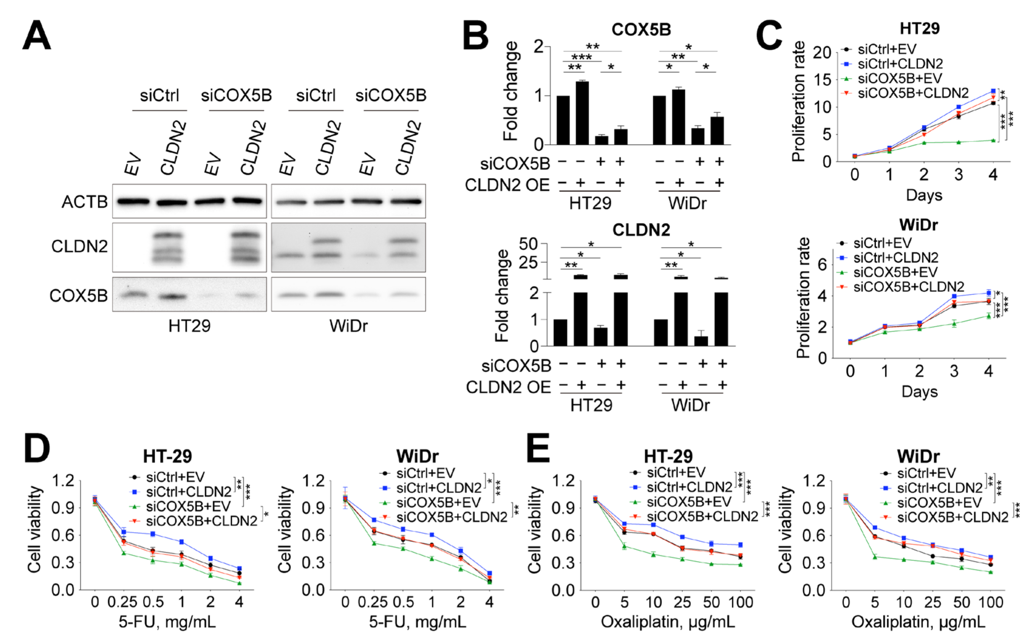 Biomedicines 10 00060 g006 Biomedicines 10 00060 g006
