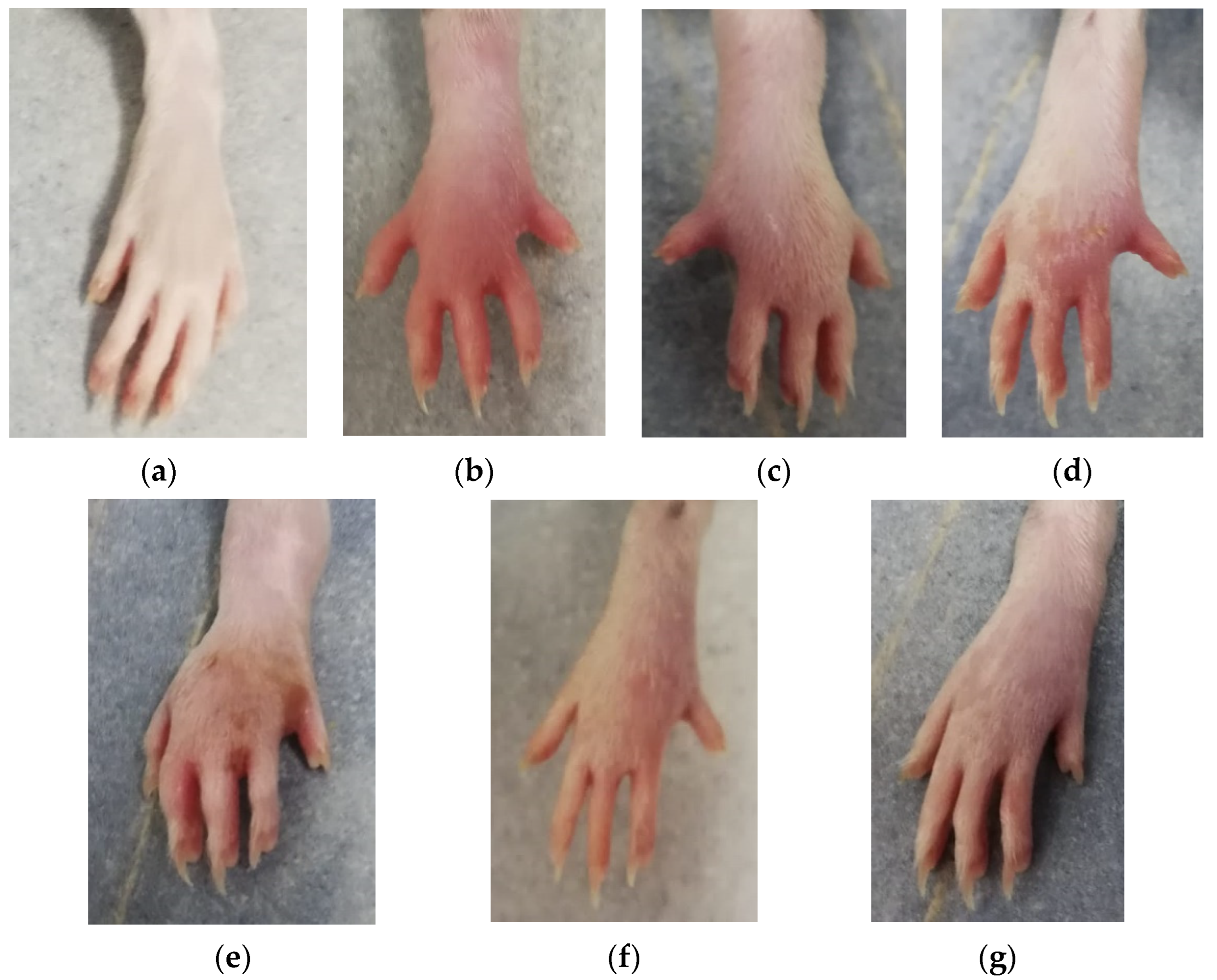 Biomedicines 10 00061 g001 Biomedicines 10 00061 g001