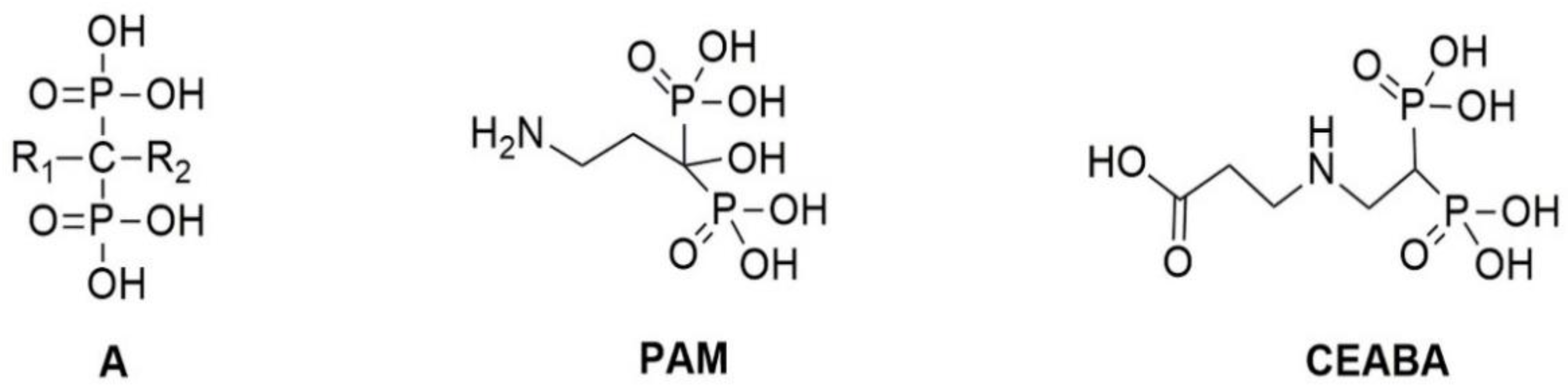 Biomedicines 10 00065 g001