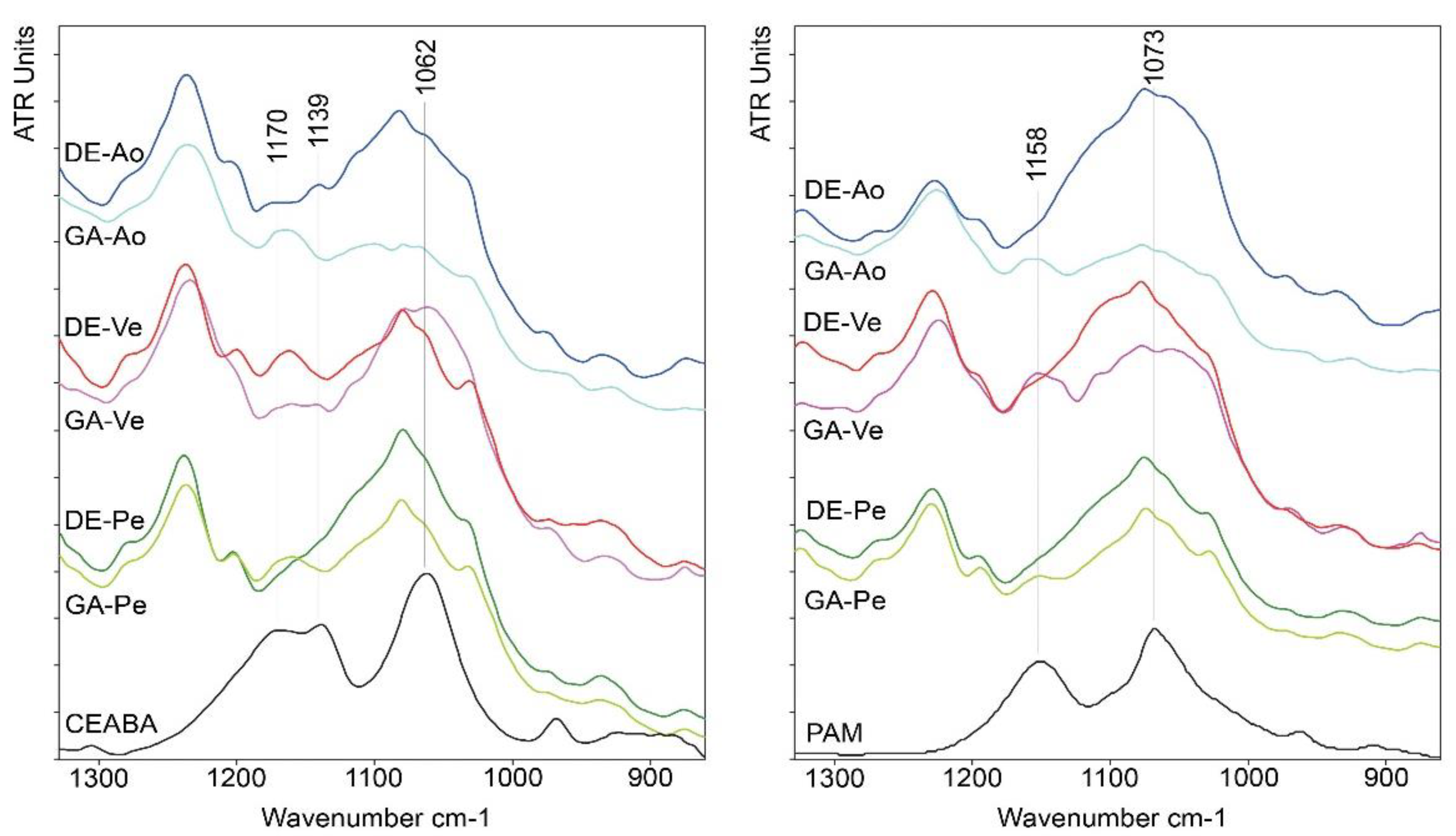 Biomedicines 10 00065 g003