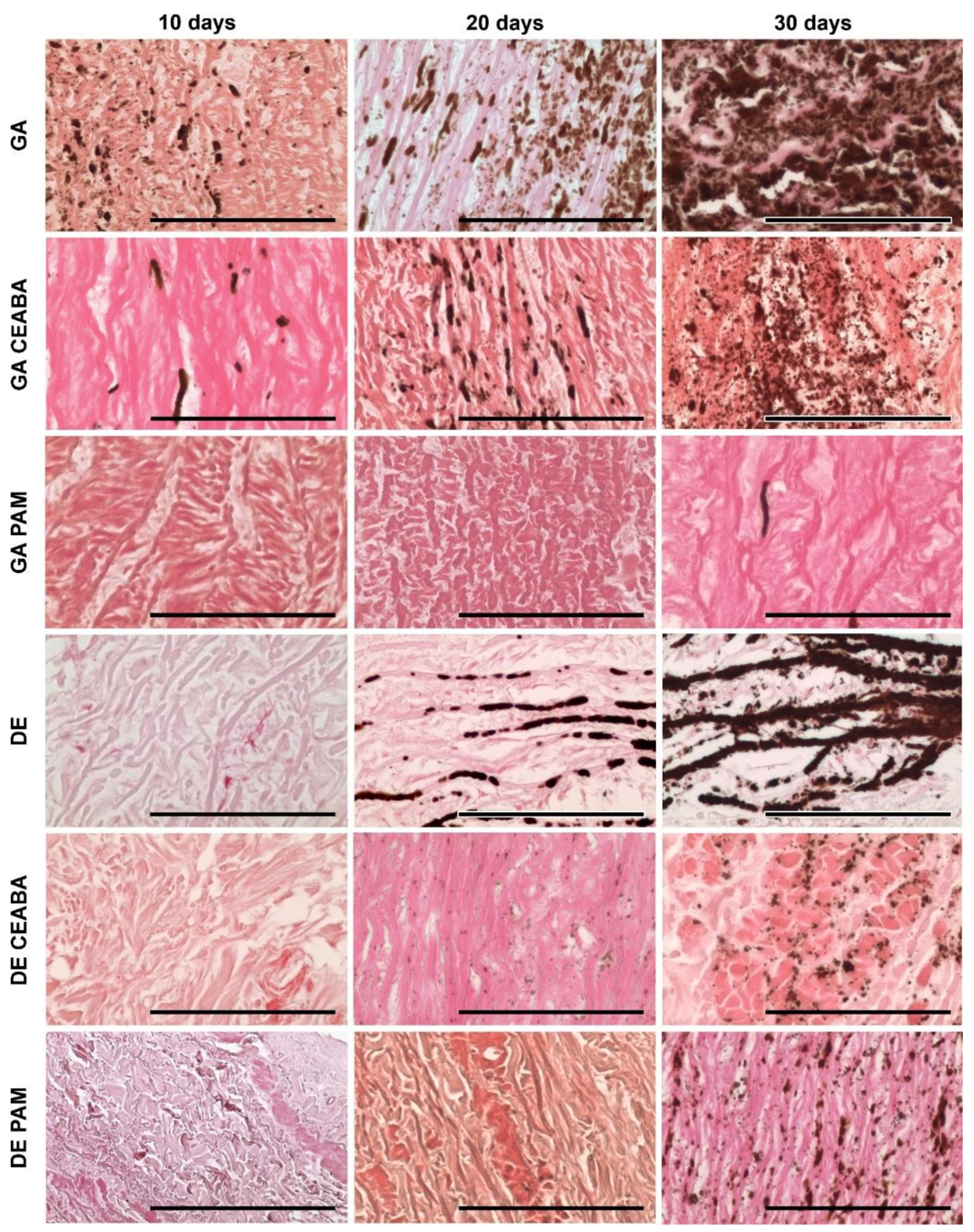 Biomedicines 10 00065 g005