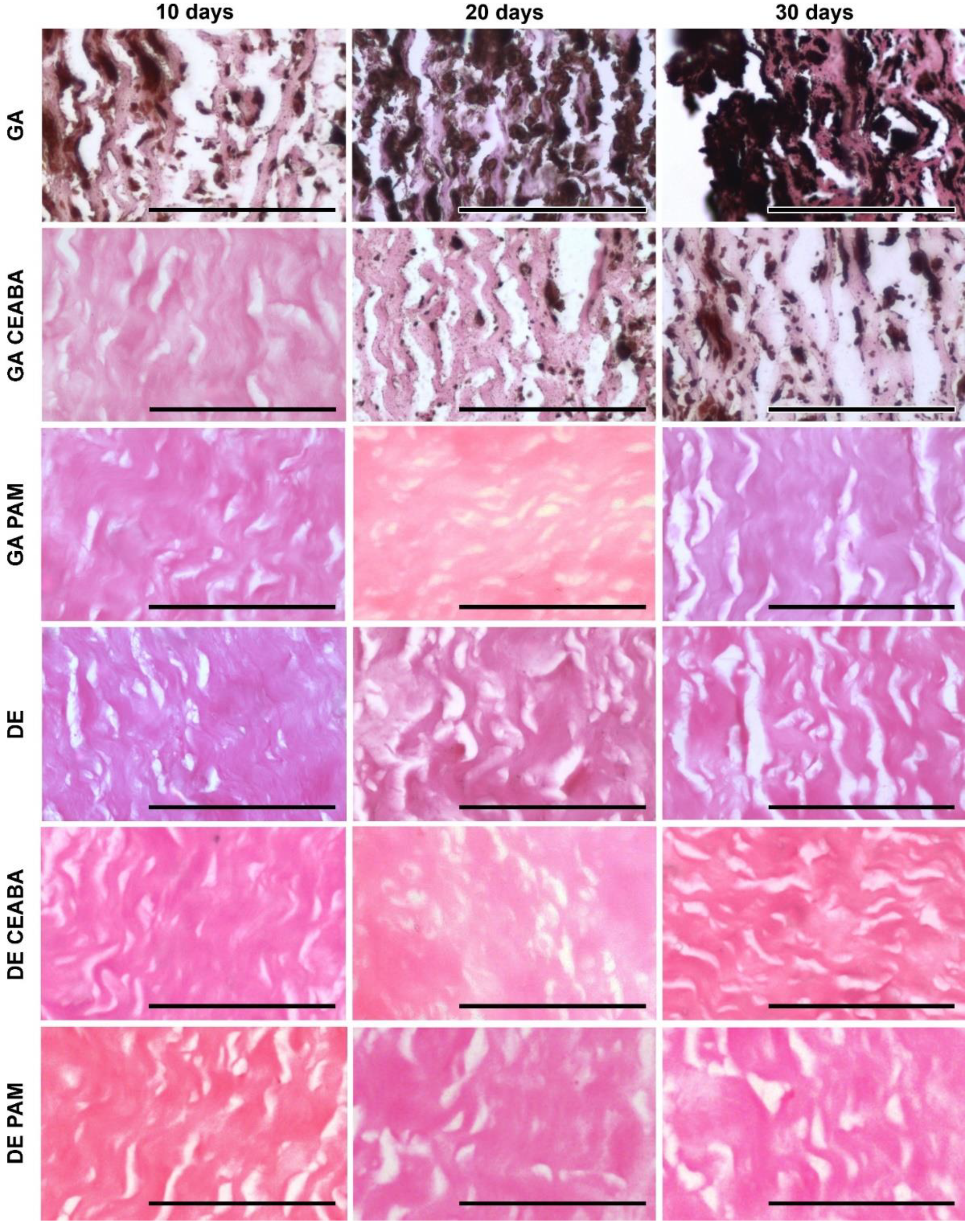 Biomedicines 10 00065 g006
