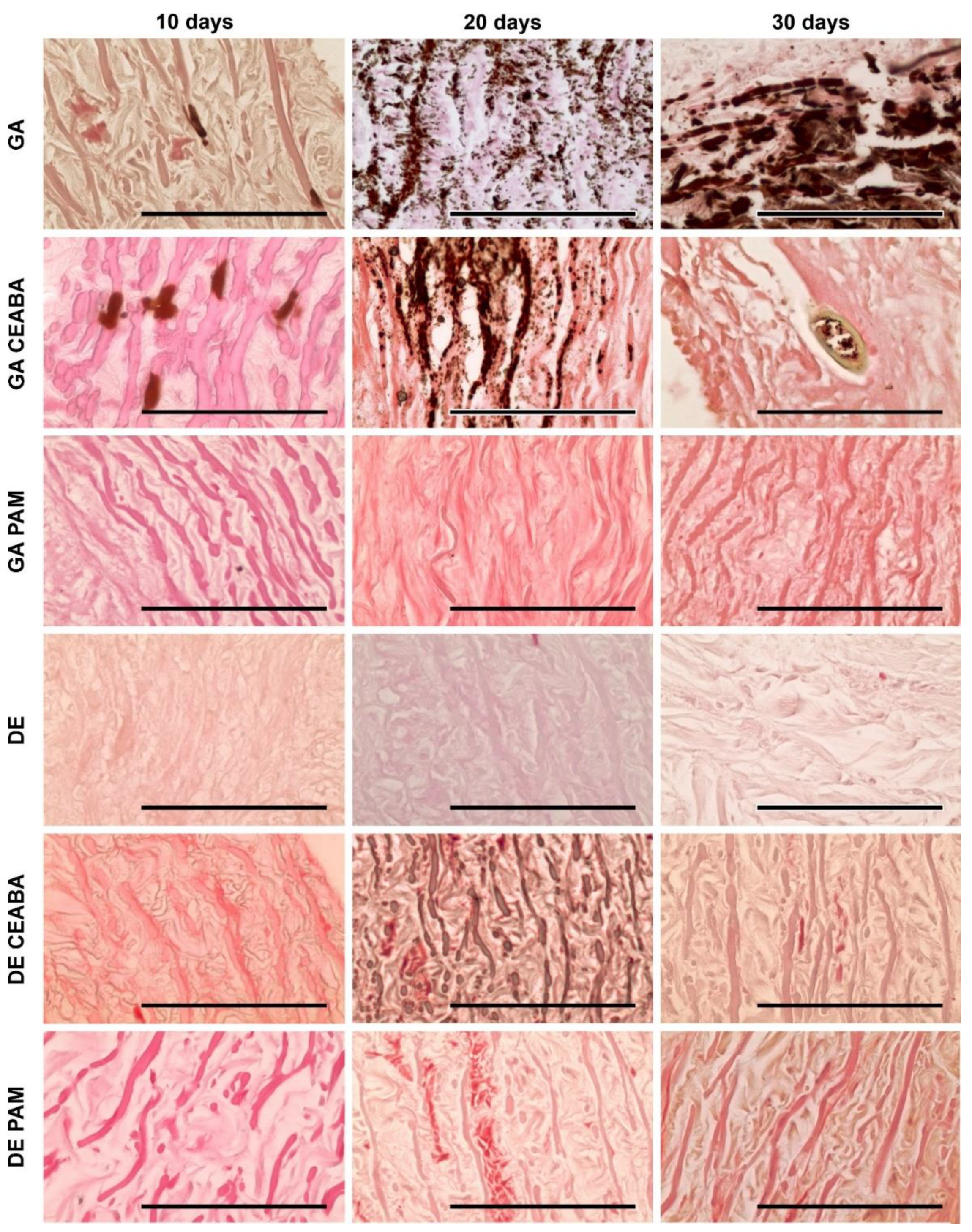Biomedicines 10 00065 g007