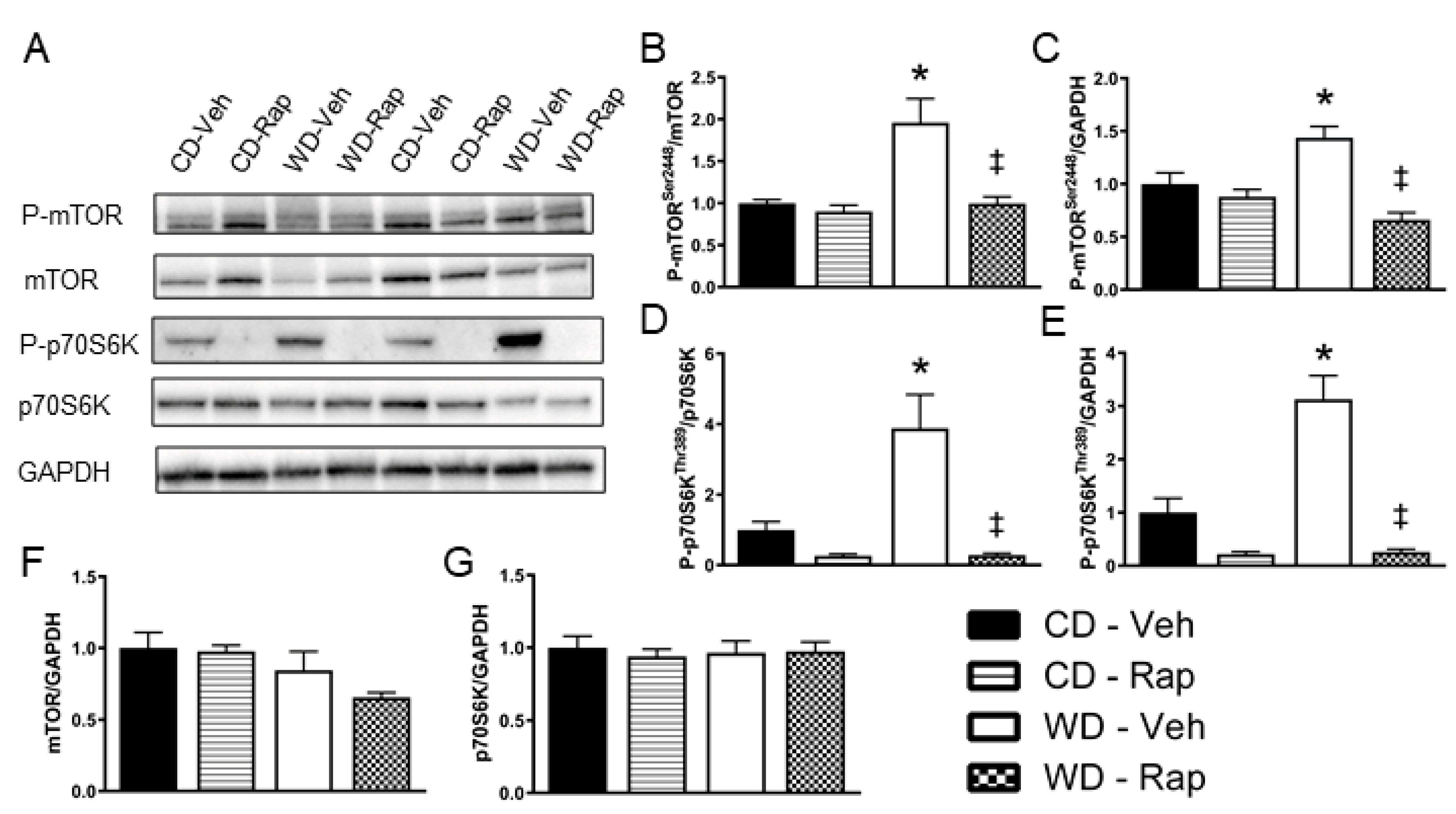 Biomedicines 10 00068 g002 Biomedicines 10 00068 g002