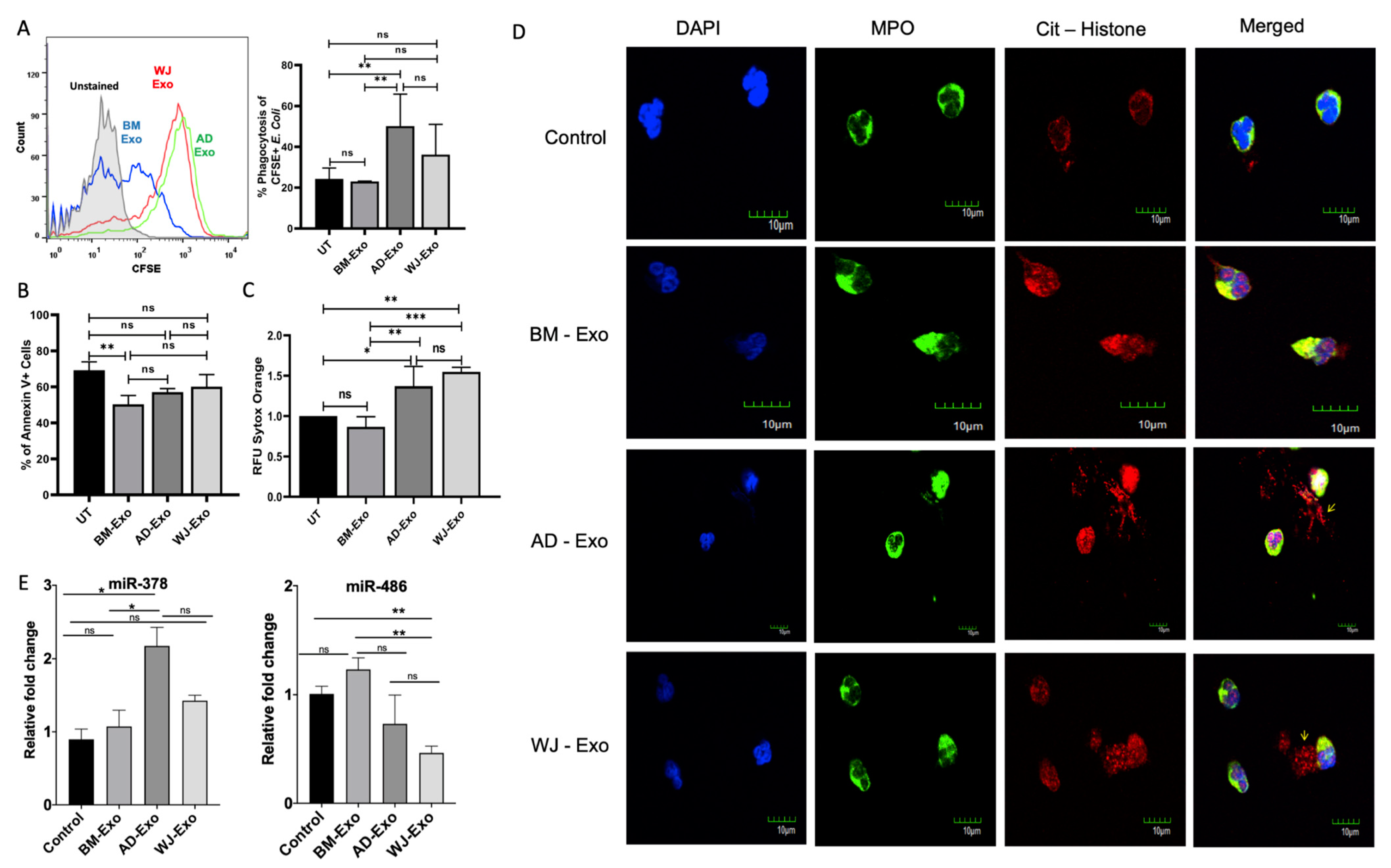 Biomedicines 10 00069 g006 550