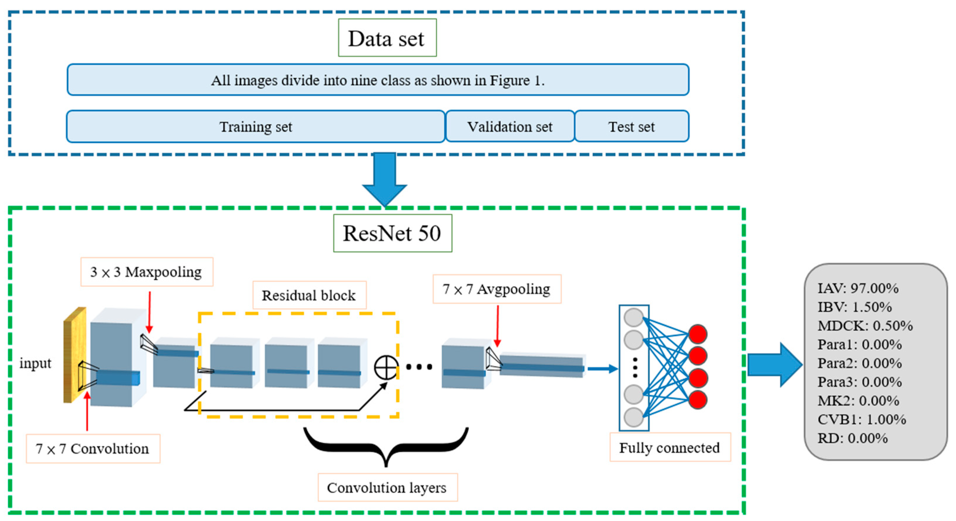 Biomedicines 10 00070 g002