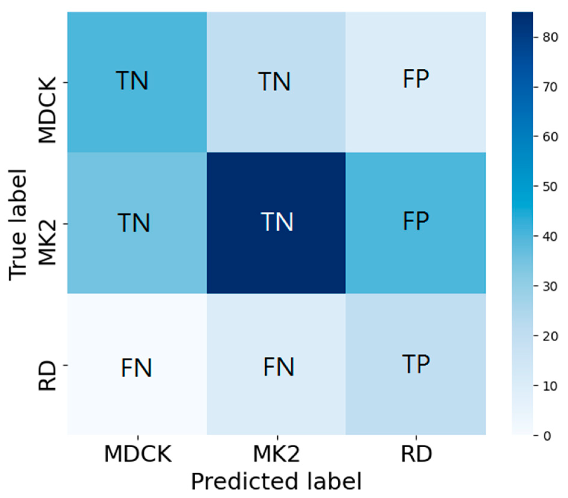 Biomedicines 10 00070 g005