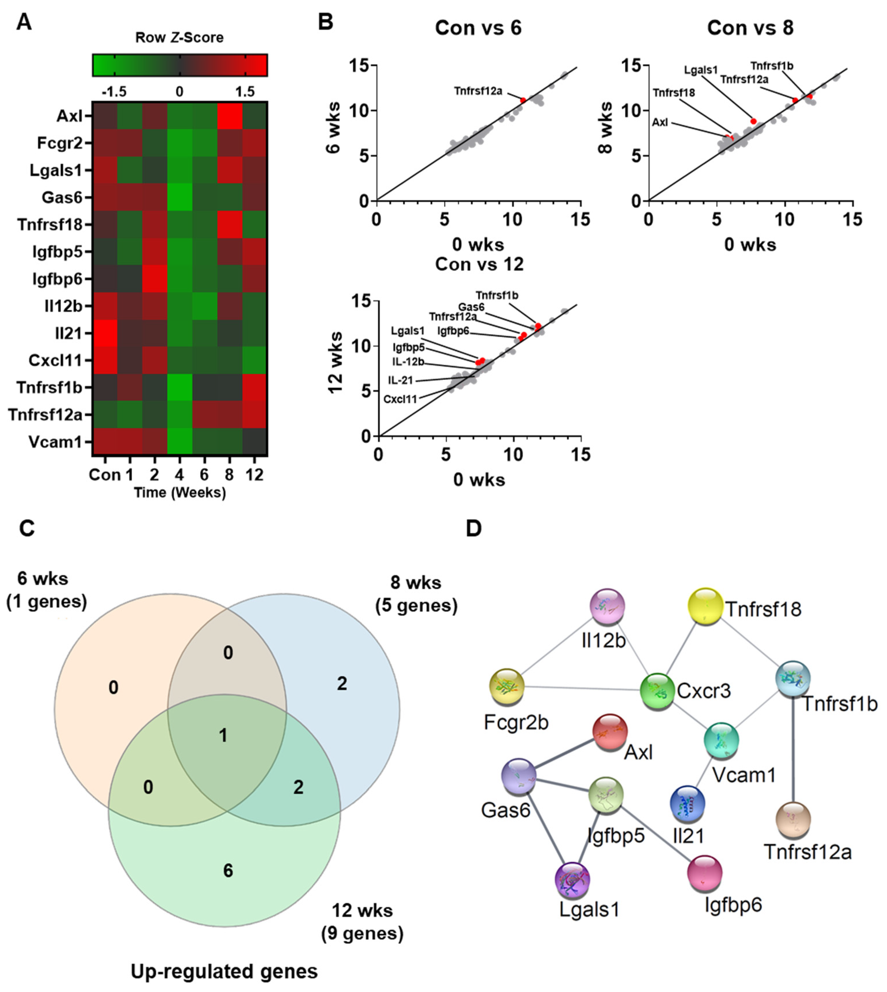 Biomedicines 10 00072 g003