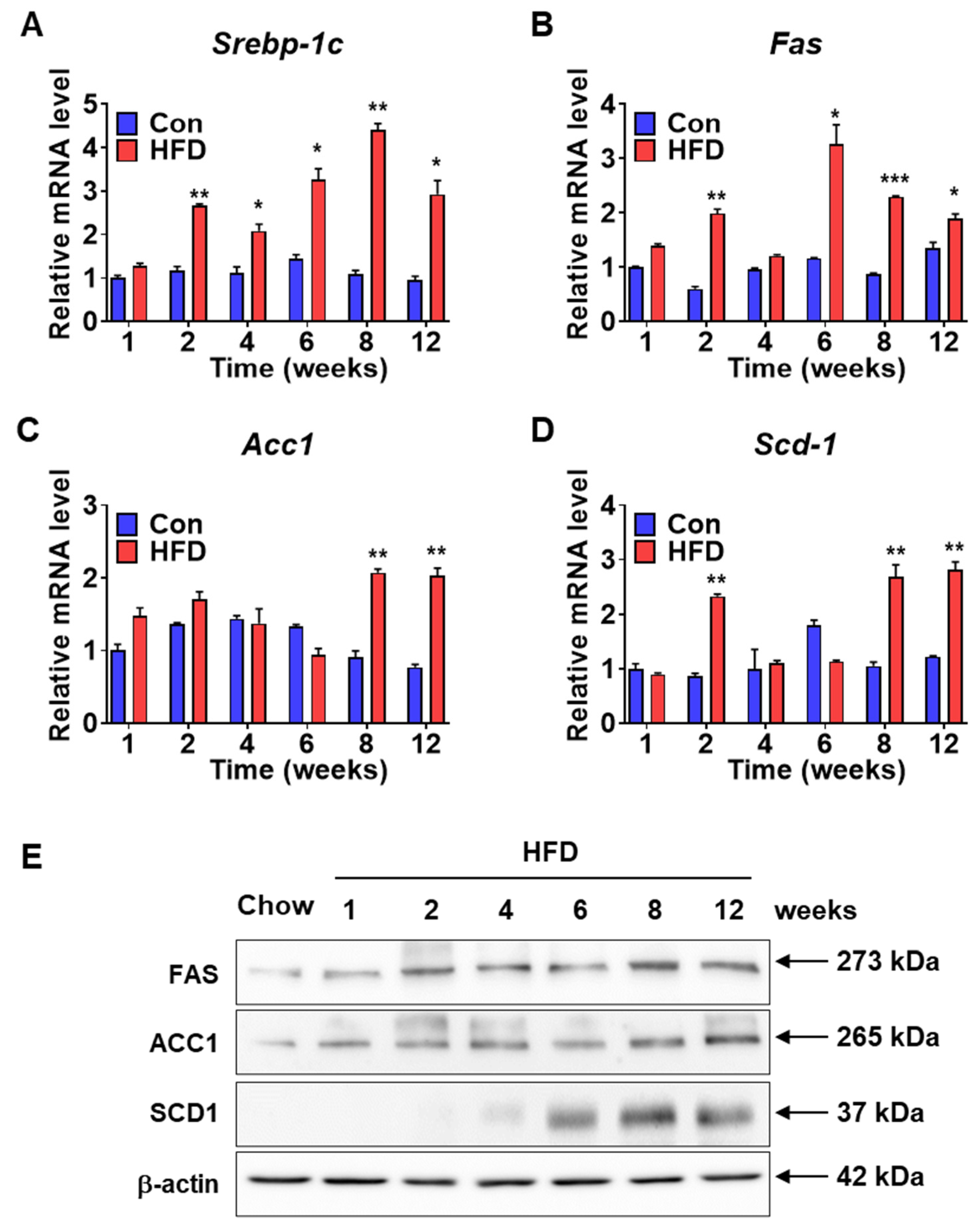 Biomedicines 10 00072 g004