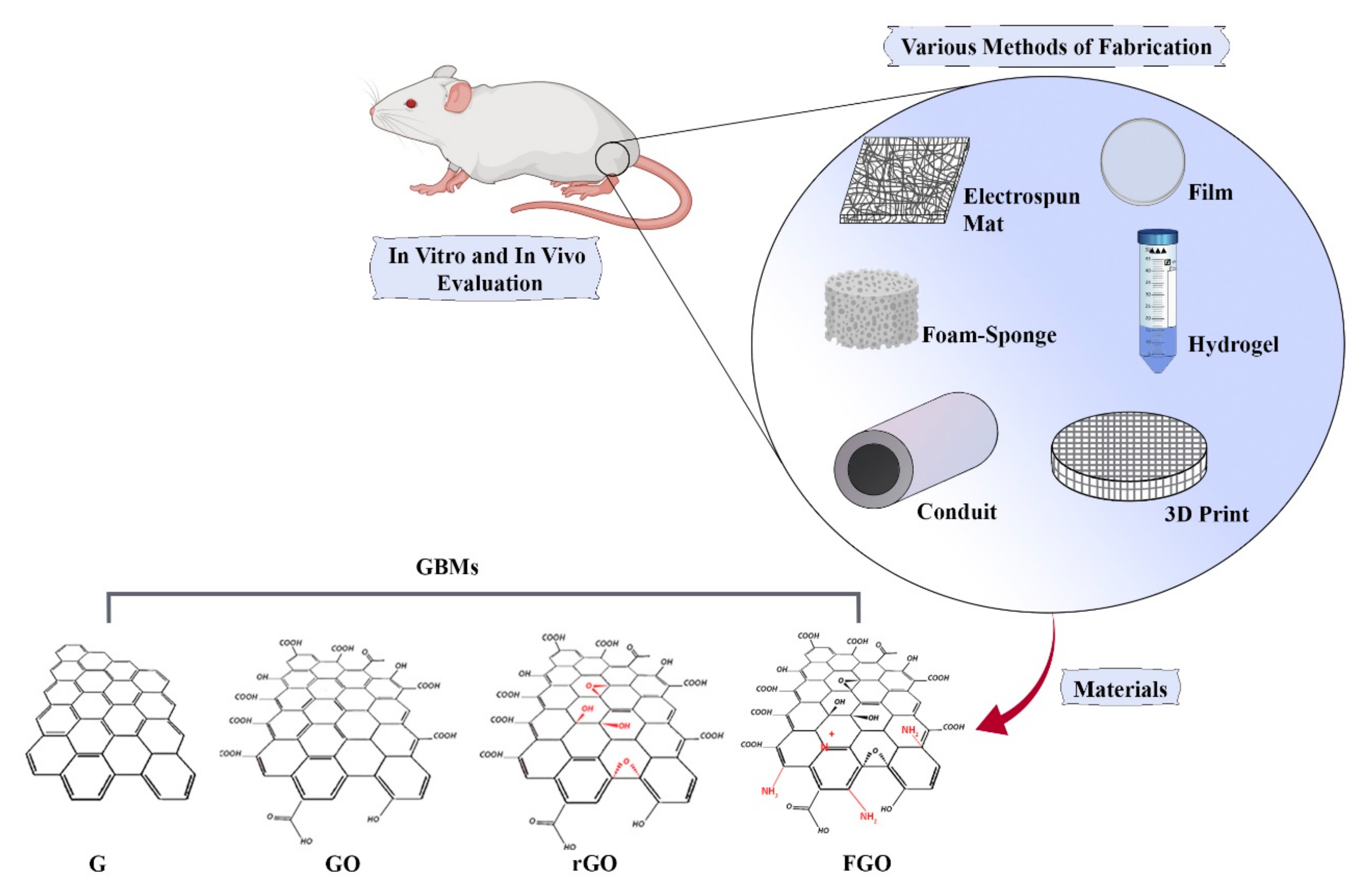 Biomedicines 10 00073 g003