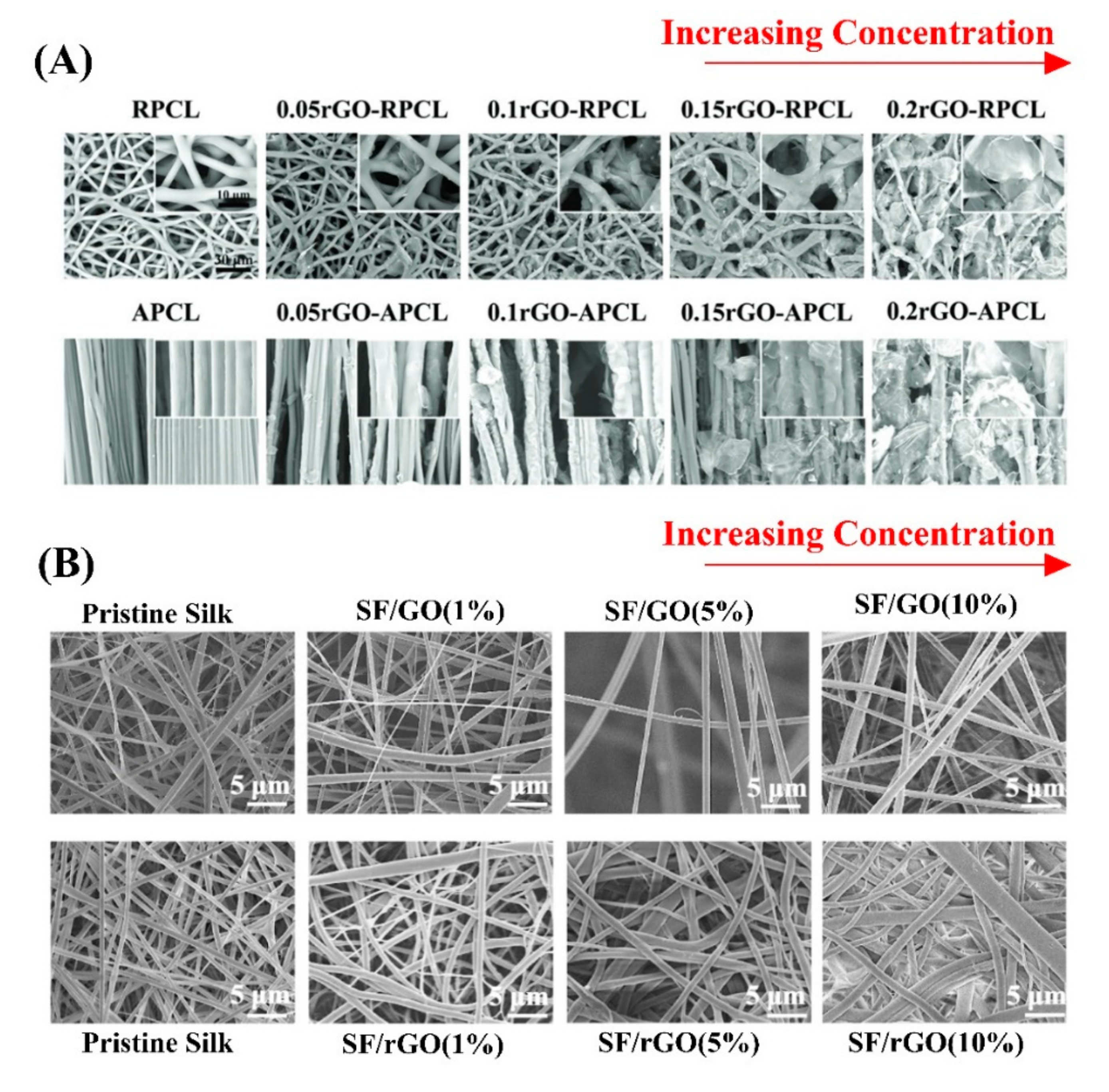 Biomedicines 10 00073 g004