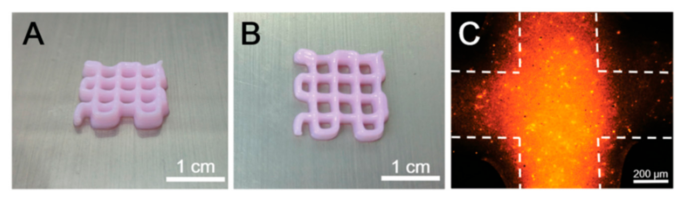 Biomedicines 10 00073 g007