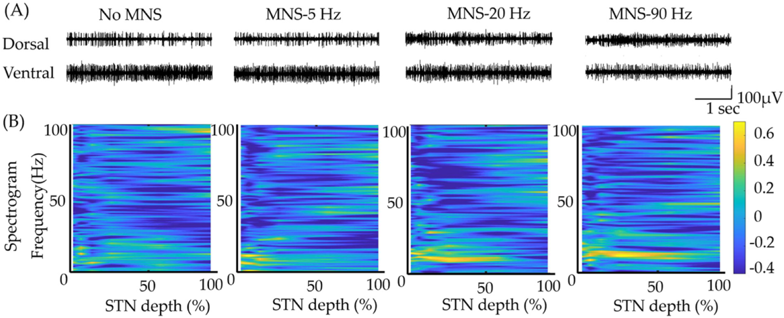 Biomedicines 10 00074 g002 550