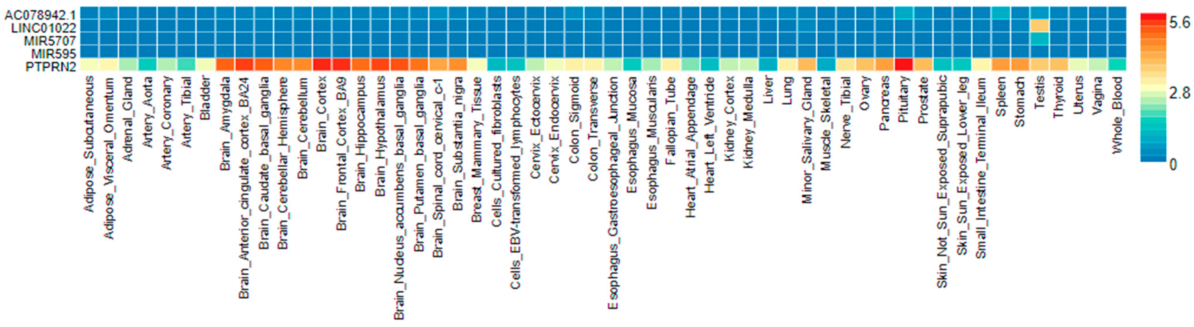 Biomedicines 10 00079 g004 Biomedicines 10 00079 g004