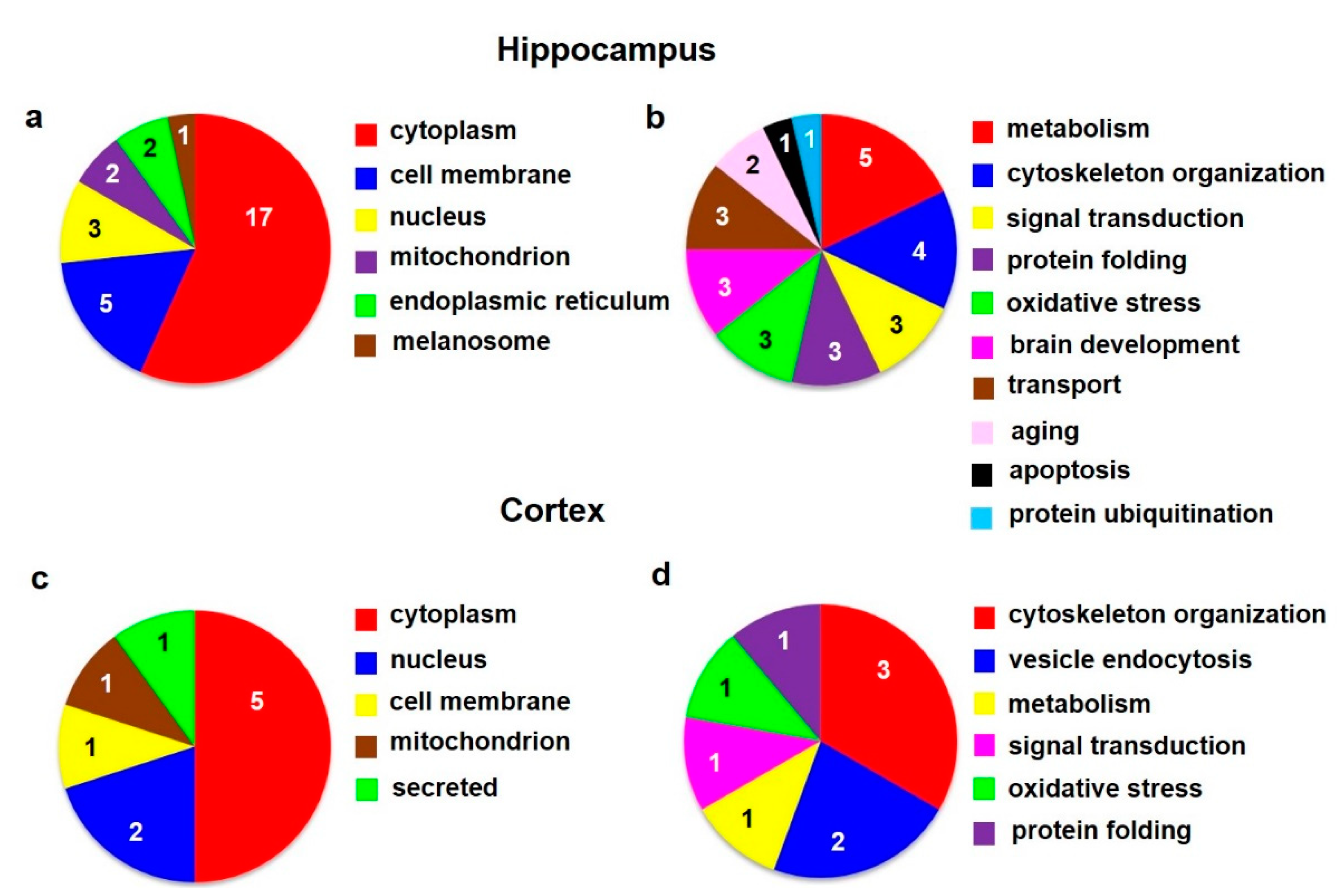 Biomedicines 10 00080 g002