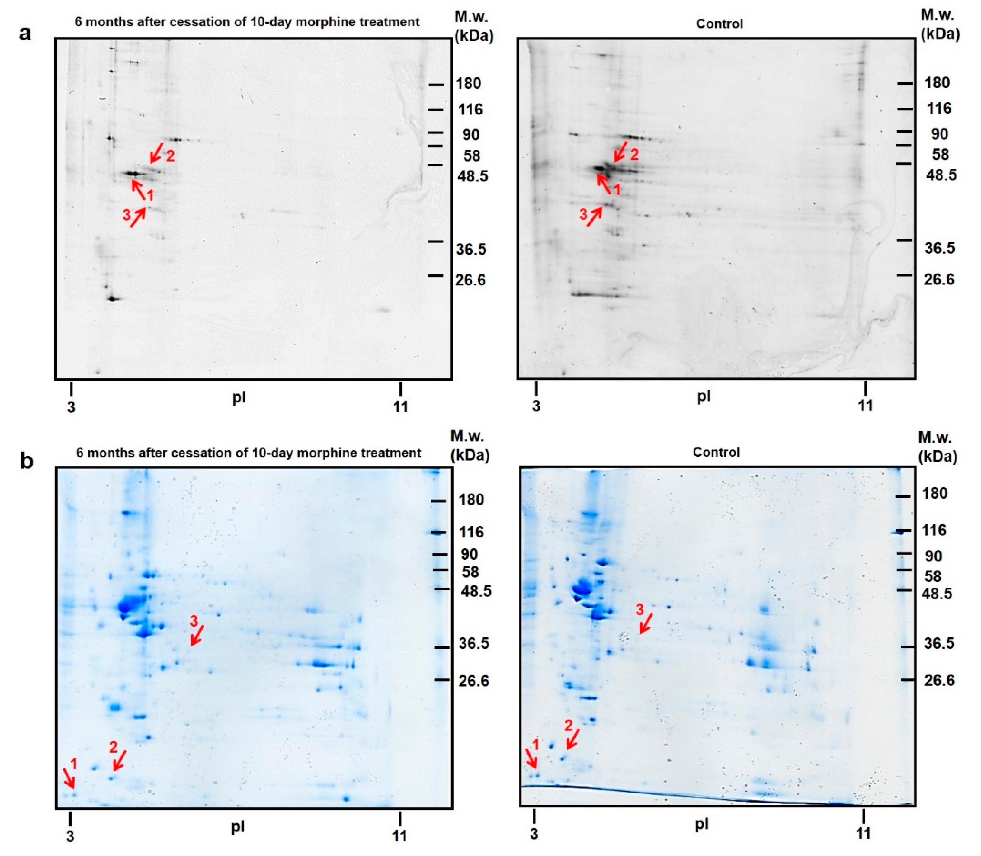 Biomedicines 10 00080 g004