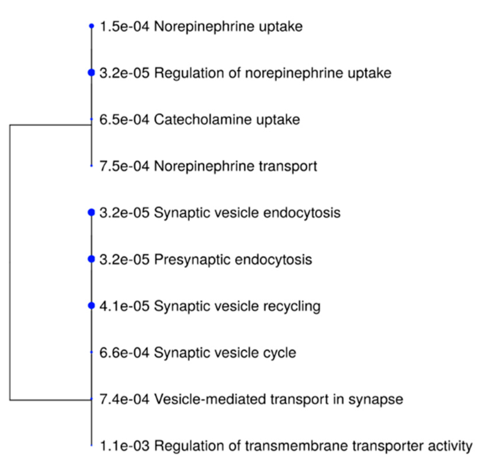 Biomedicines 10 00080 g005