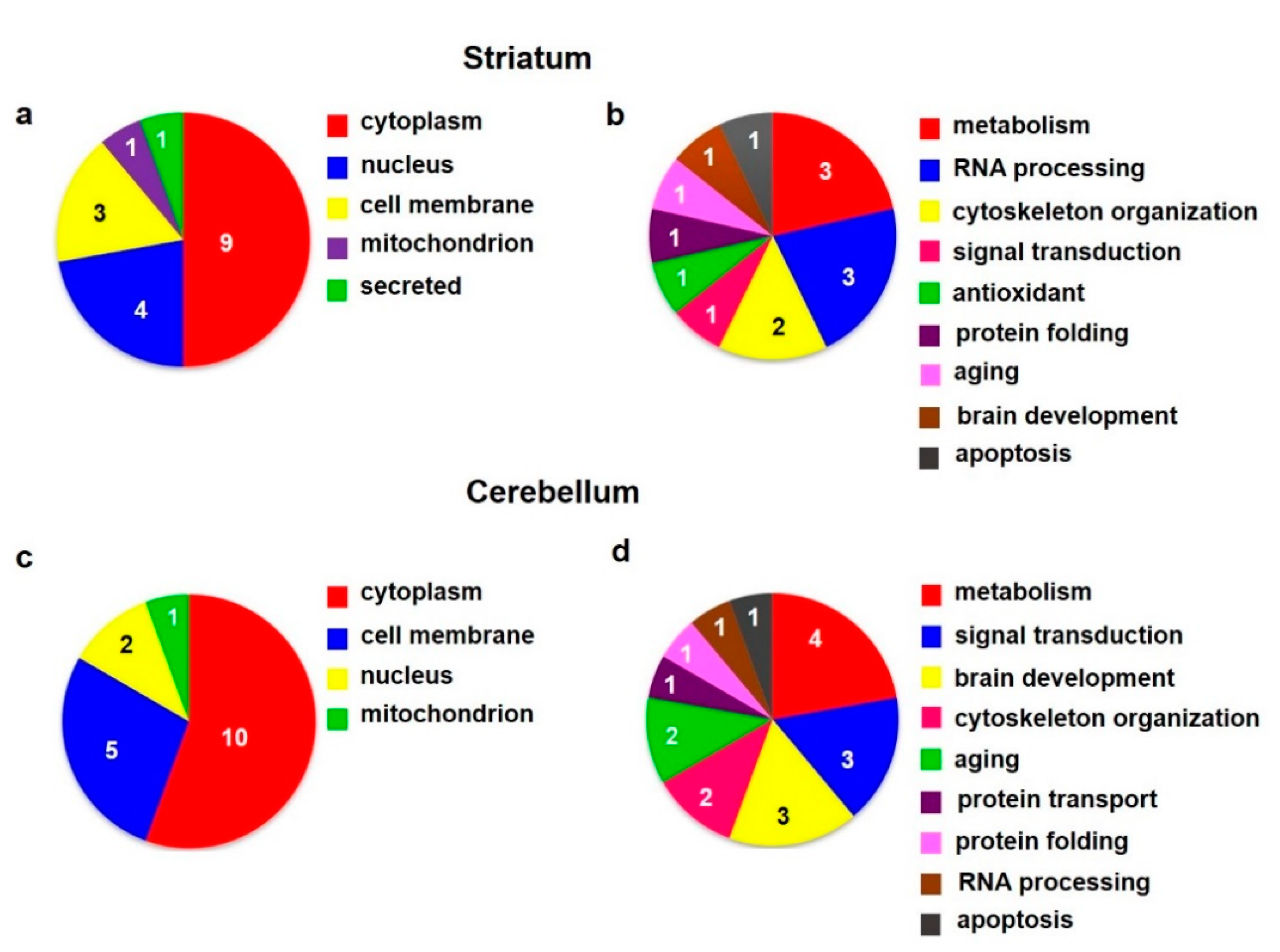 Biomedicines 10 00080 g007