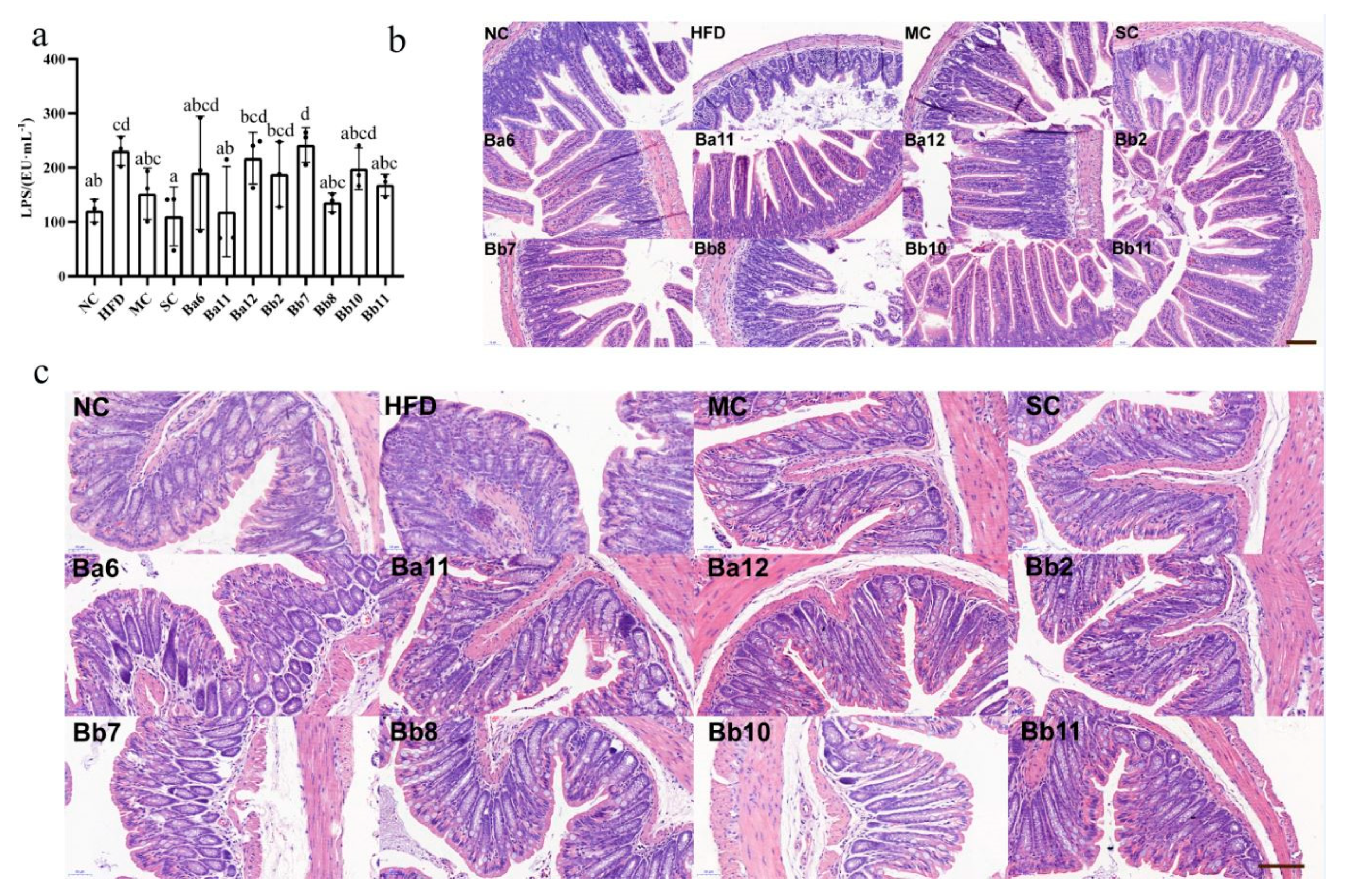 Biomedicines 10 00084 g004 550