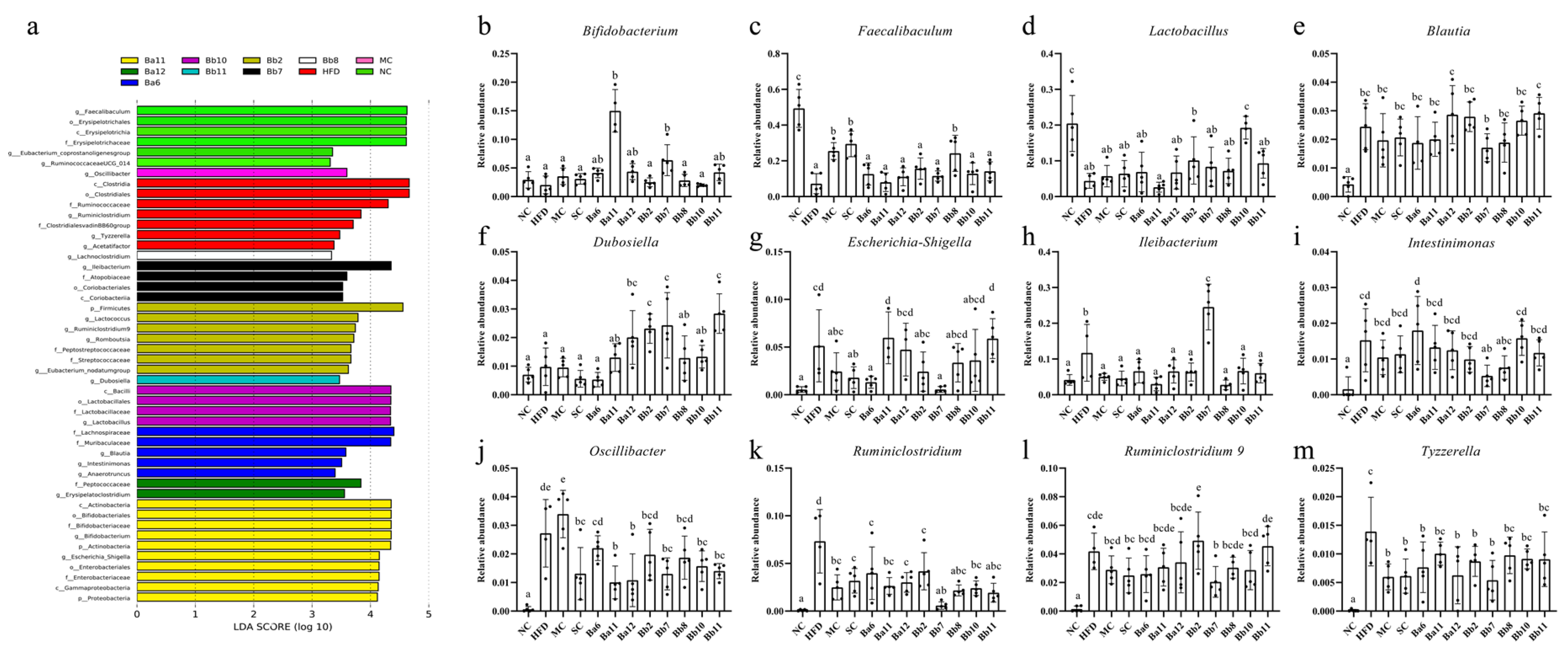 Biomedicines 10 00084 g006 550