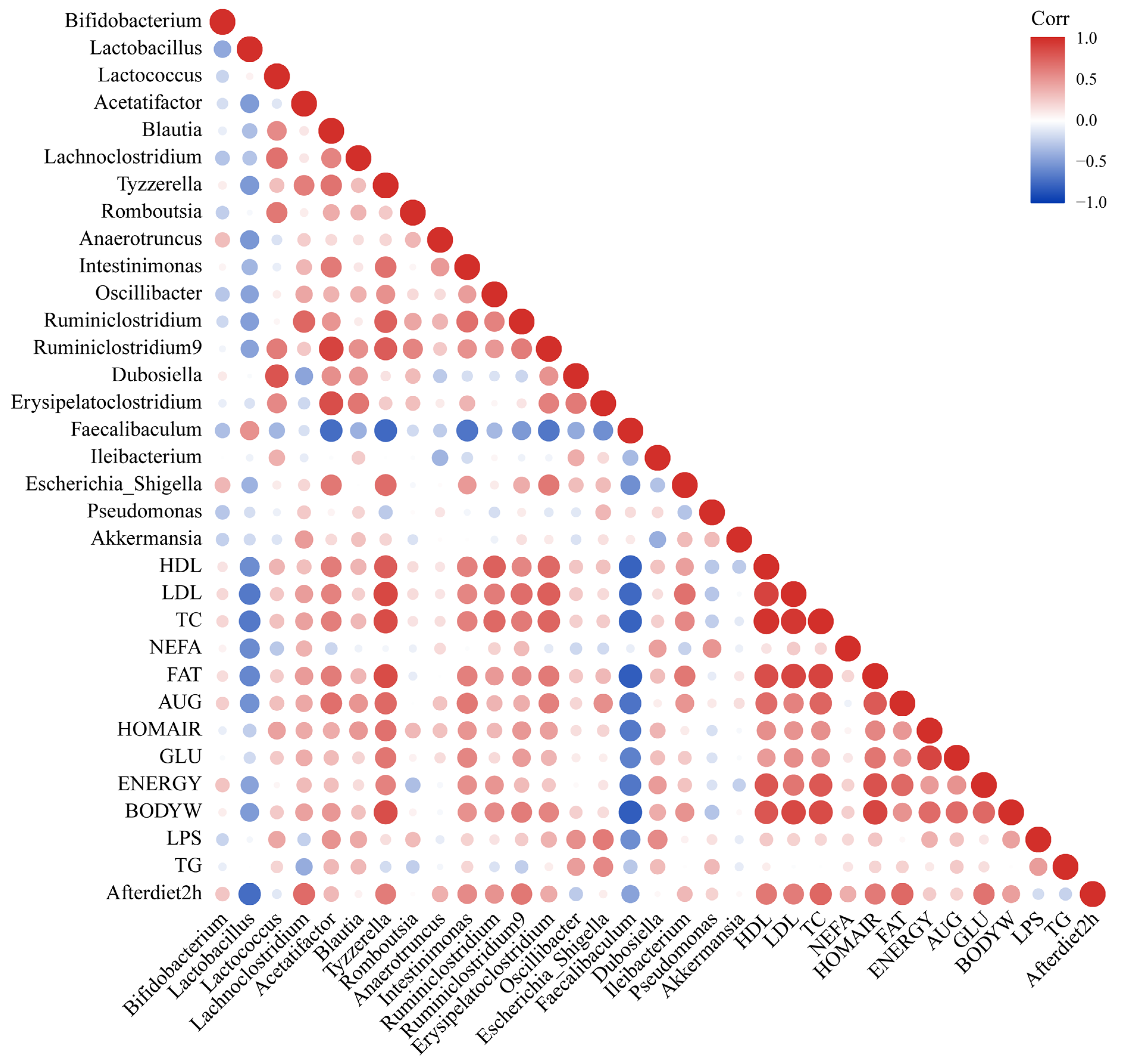 Biomedicines 10 00084 g008 550