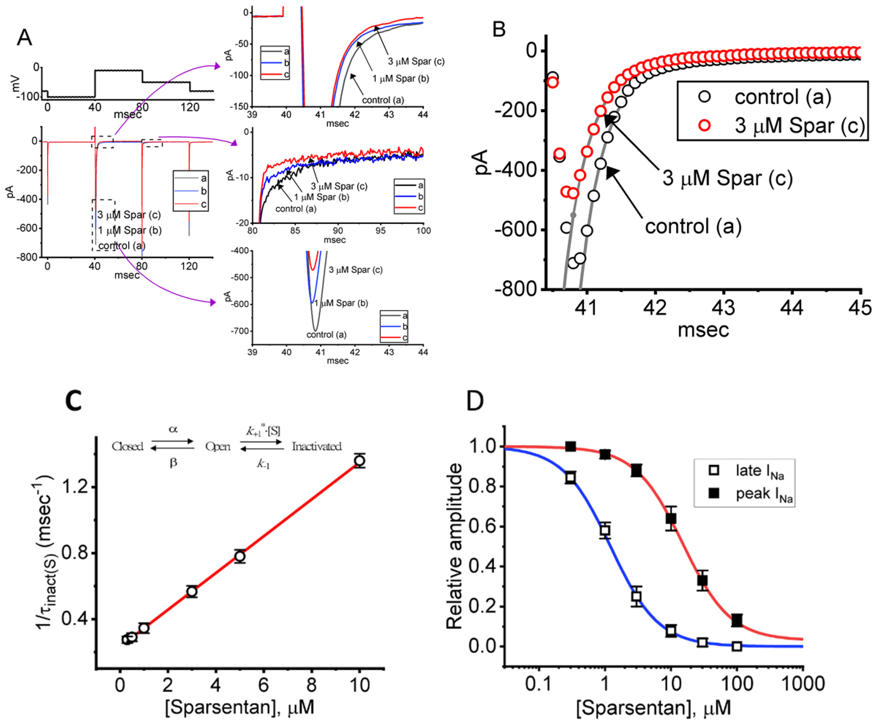 The Evidence for Sparsentan-Mediated Inhibition of INa and