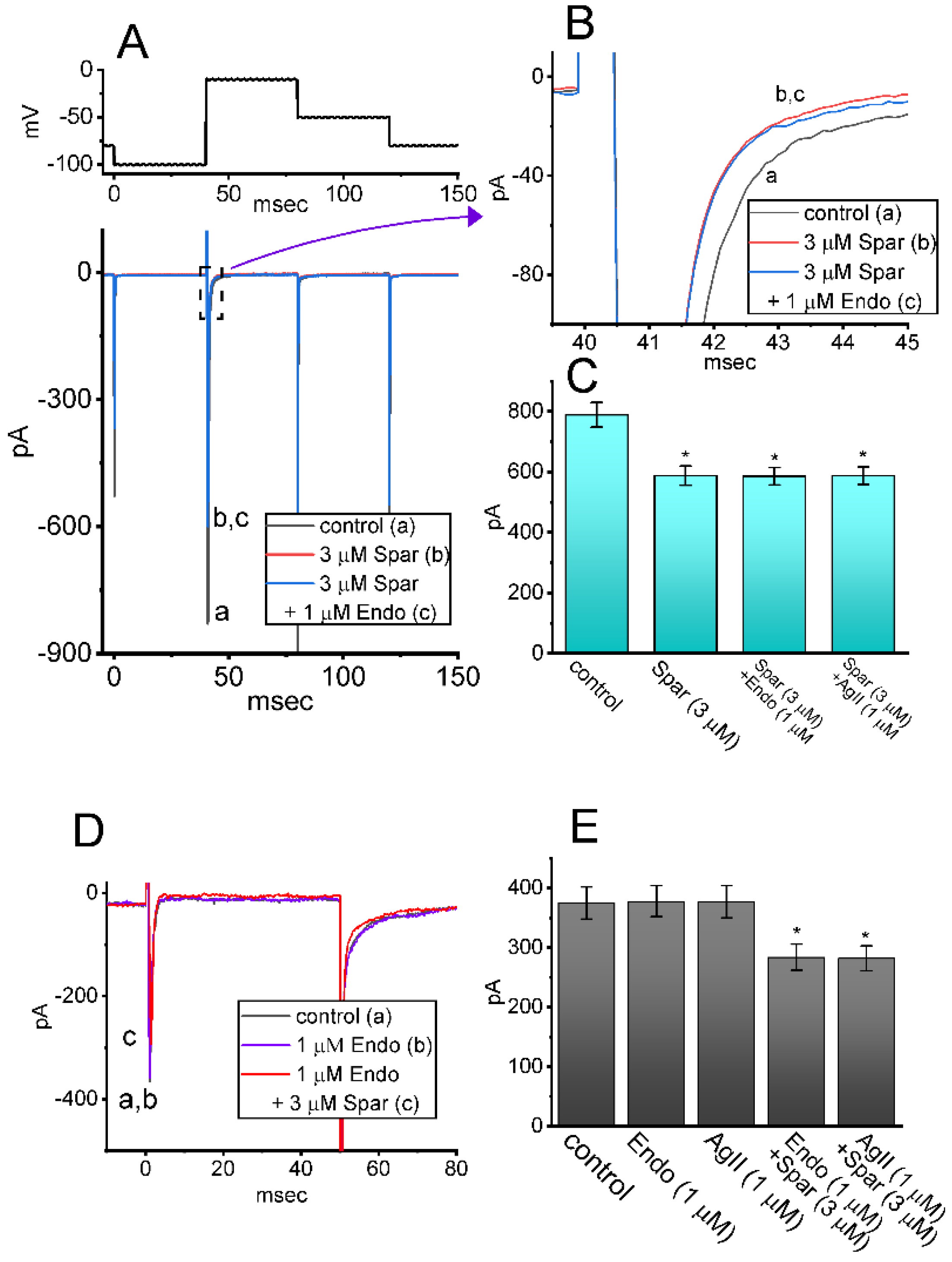 Biomedicines 10 00086 g007 Biomedicines 10 00086 g007
