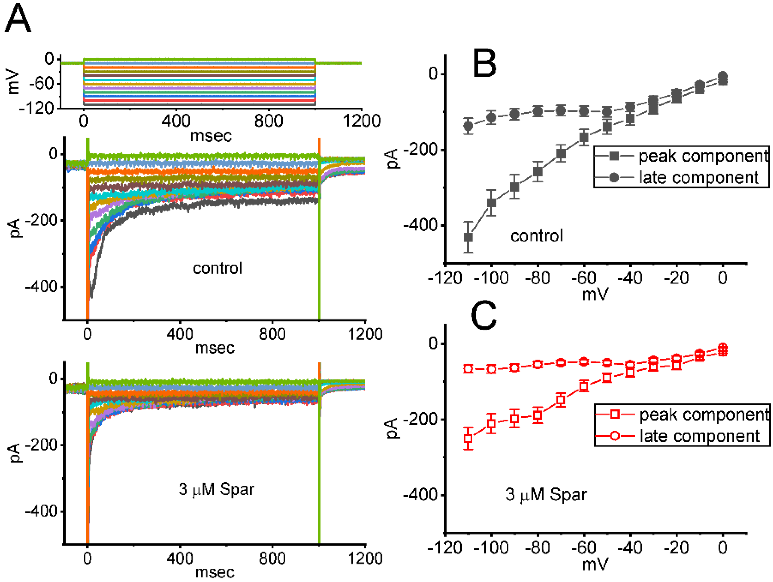 Biomedicines 10 00086 g008 Biomedicines 10 00086 g008