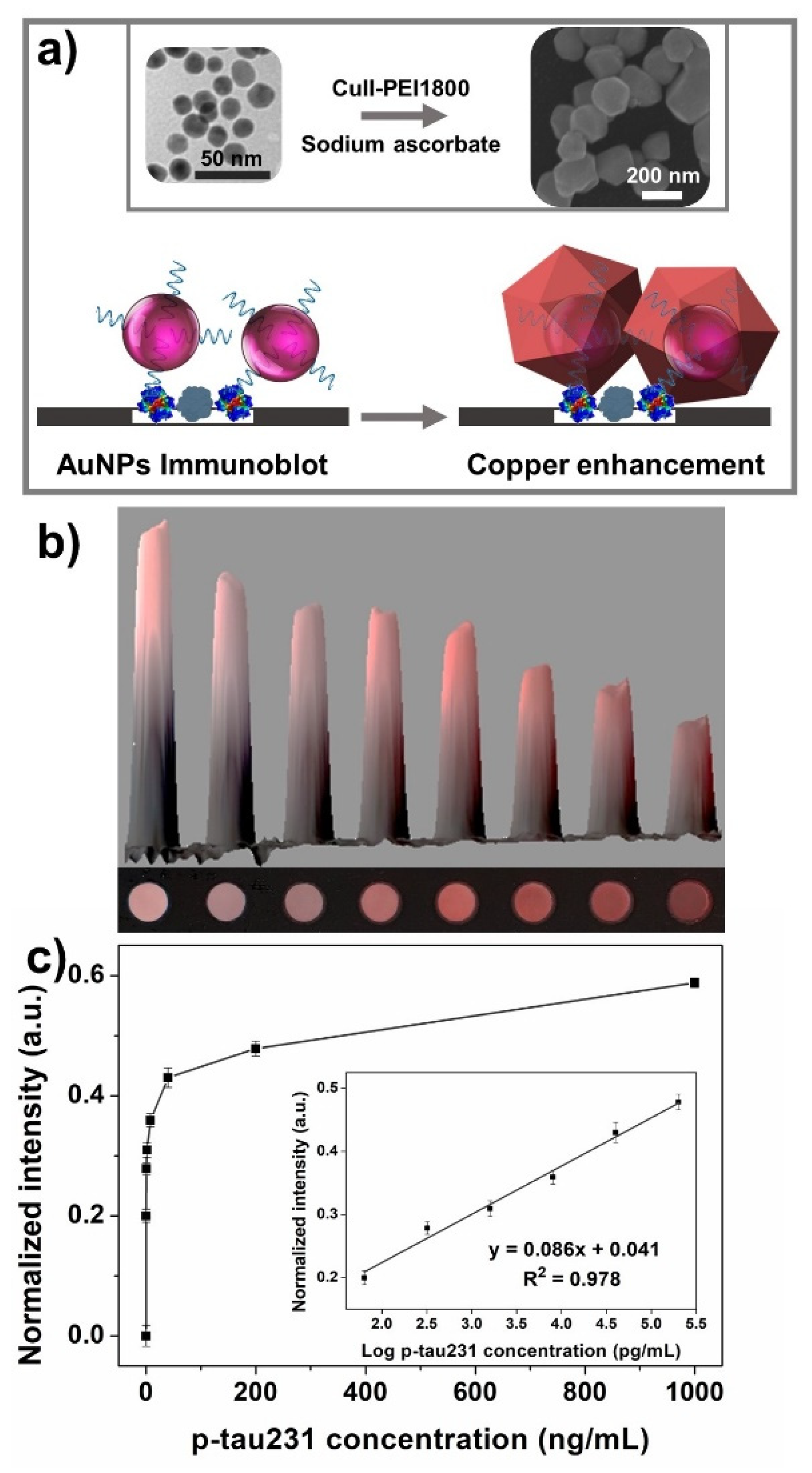Biomedicines 10 00093 g004