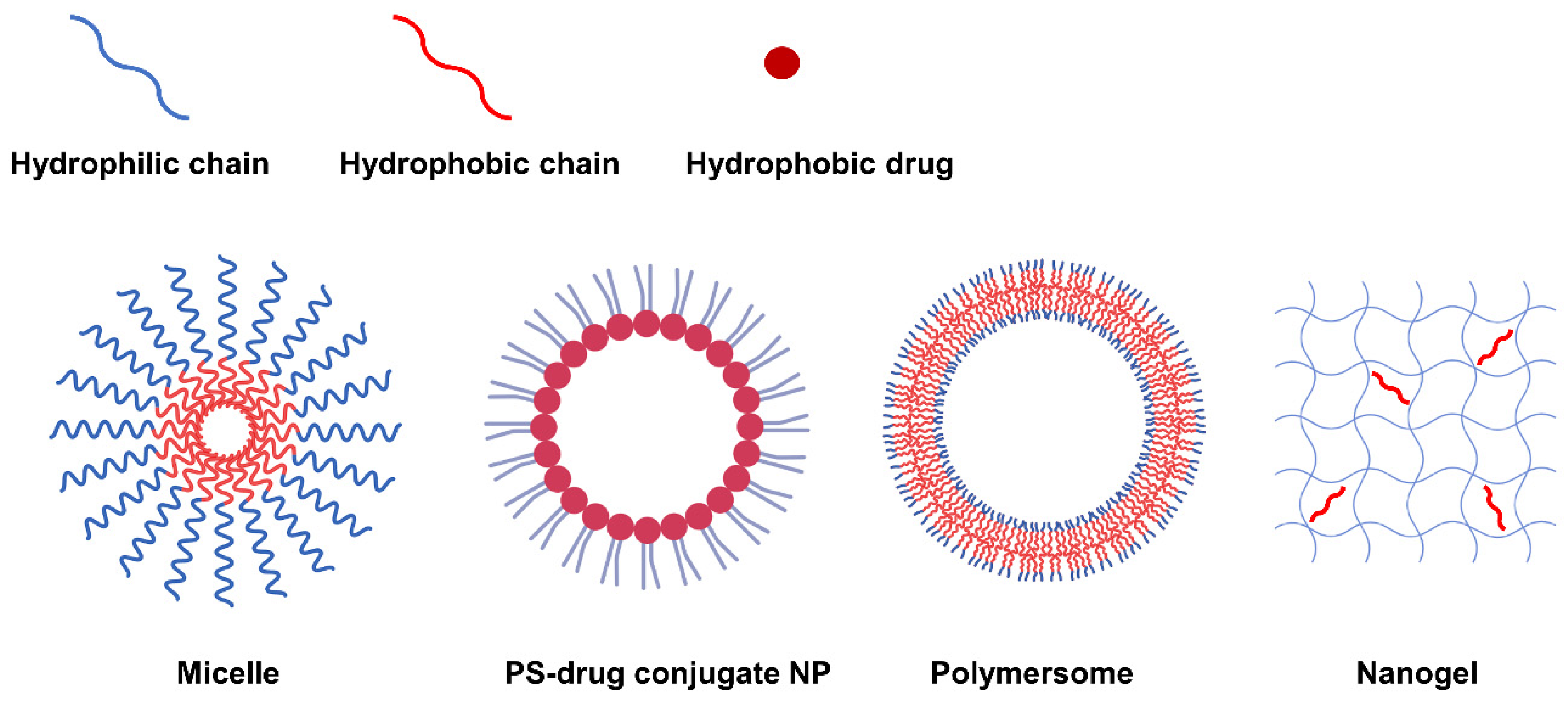 Biomedicines 10 00096 g002