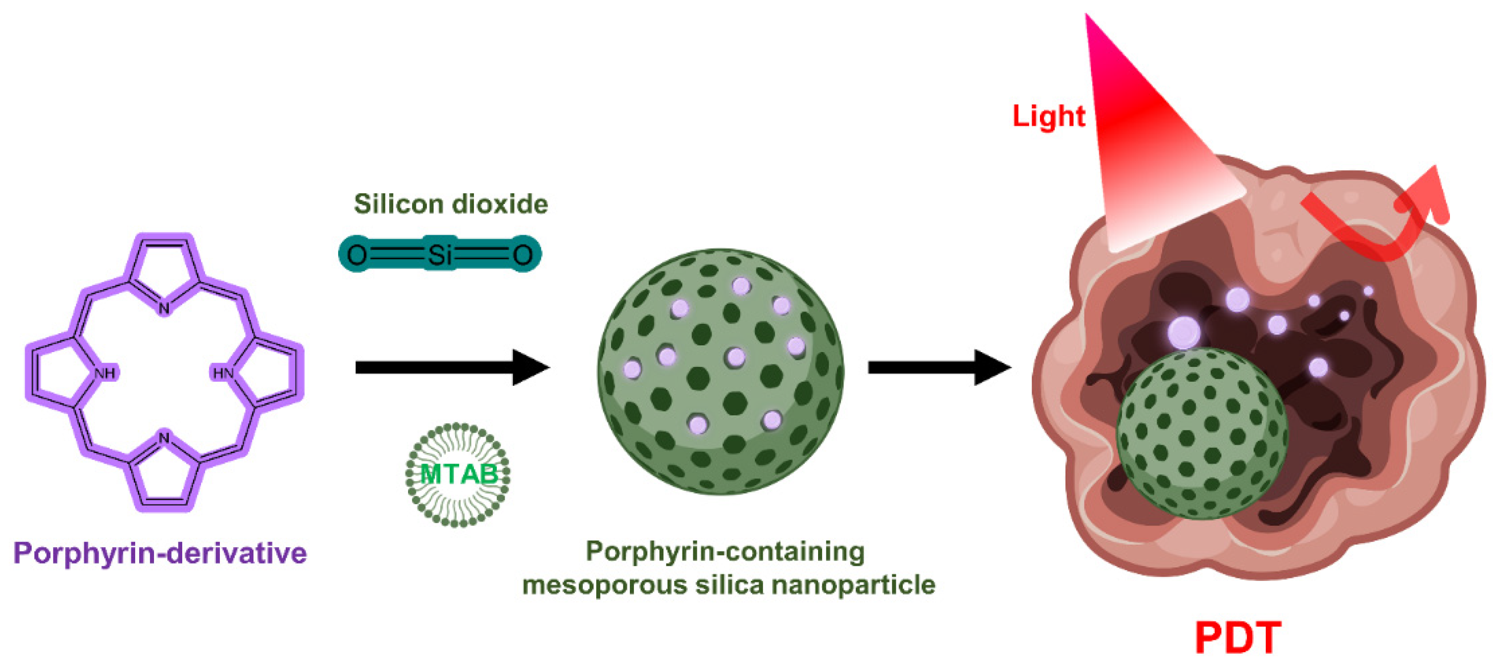 Biomedicines 10 00096 g004
