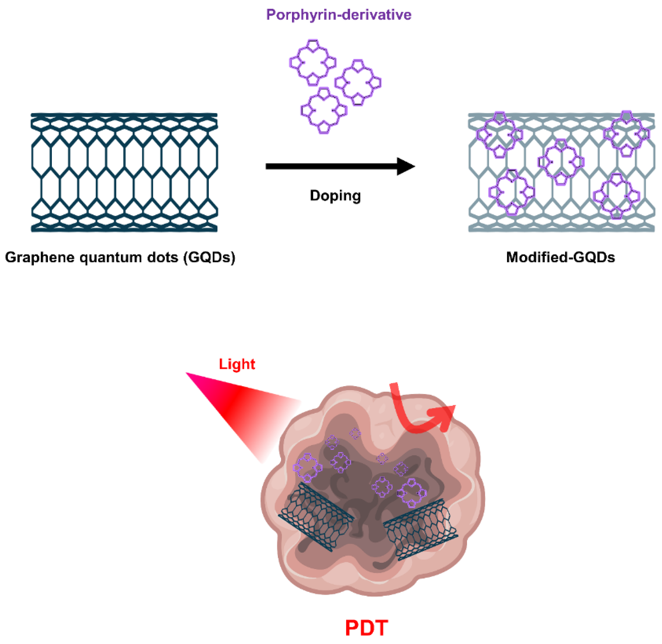 Biomedicines 10 00096 g005