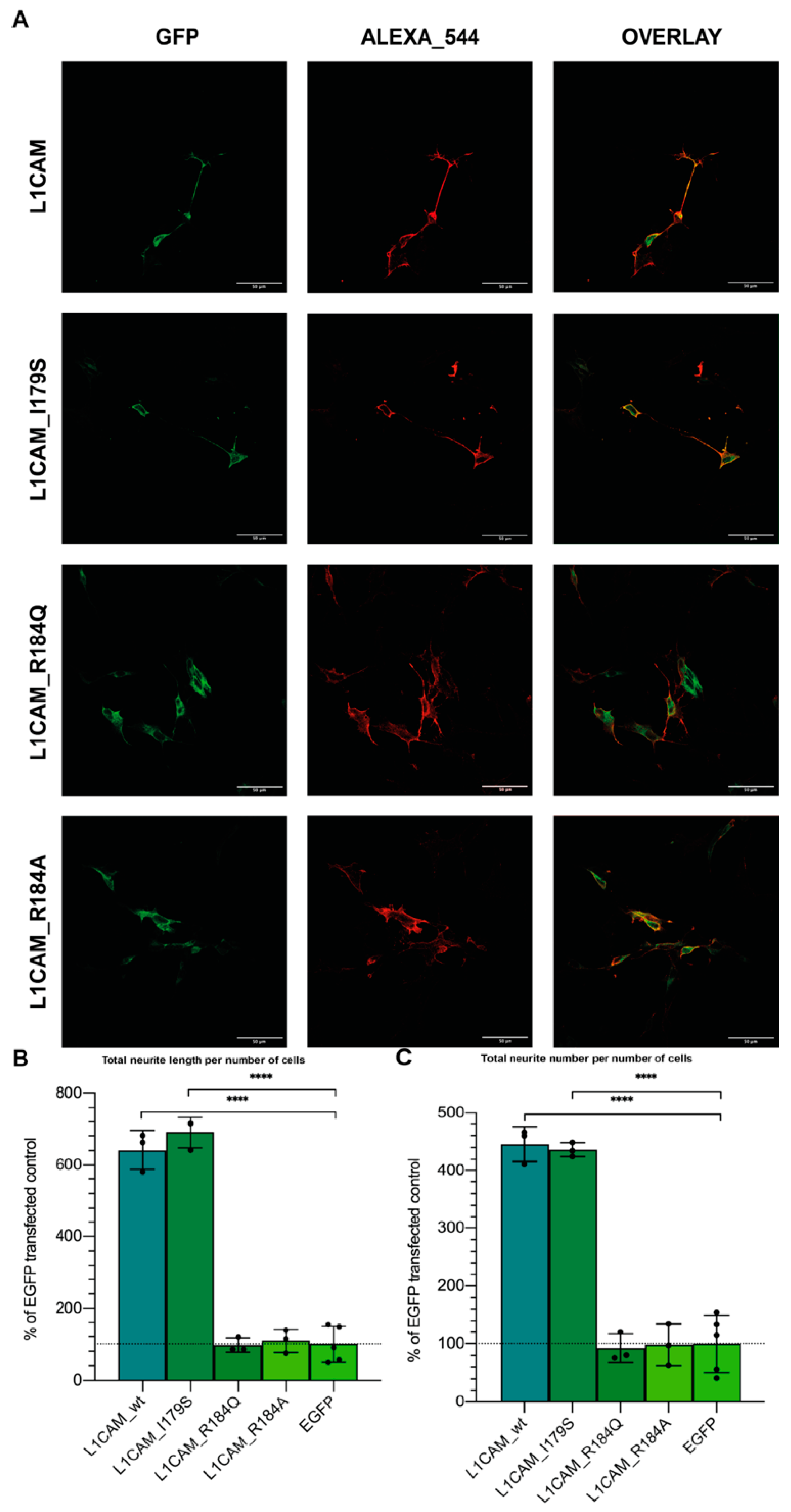 Biomedicines 10 00102 g003